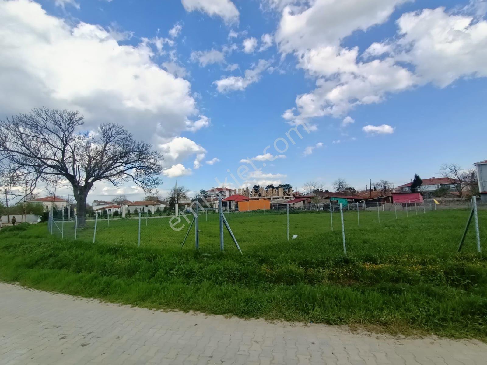 Muratlı Aşağısevindikli'de Merkezi Konumda 565 M2 Satılık Arsa - Görsel 4