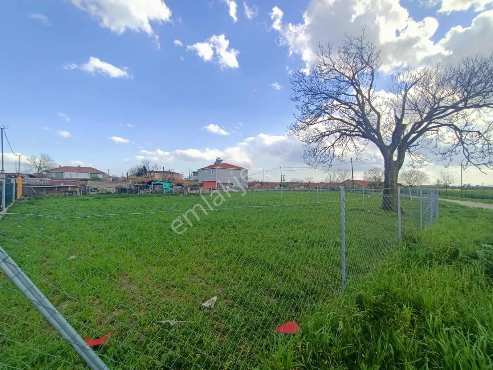 Muratlı Aşağısevindikli'de Merkezi Konumda 565 M2 Satılık Arsa - Görsel 6
