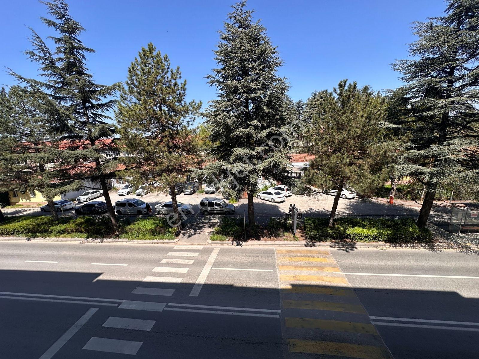 Gama Gayrimenkul Cadde Üzeri Manzaralı Geniş 2+1 Kiralık - Görsel 2
