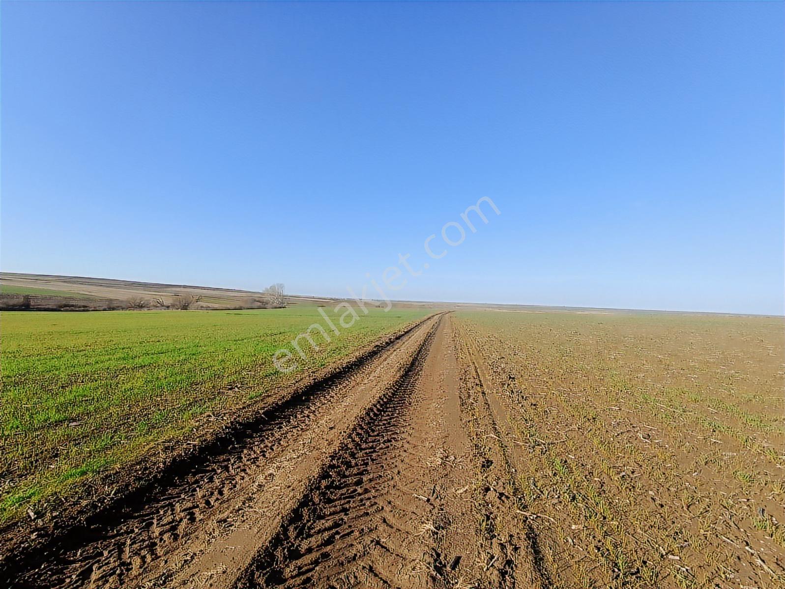 Arzulu'da Köye Ve Hayrabolu Yoluna Yakın Satılık 7500 M2 Tarla - Görsel 4