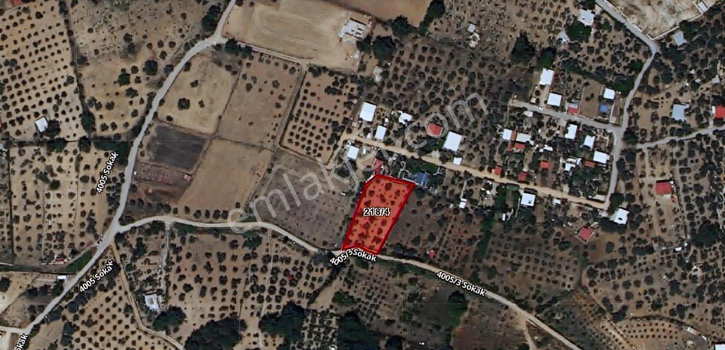 Buca Karacaağaç Satılık Müstakil Parsel Tarla/ Bağ 1590m2 - Görsel 5
