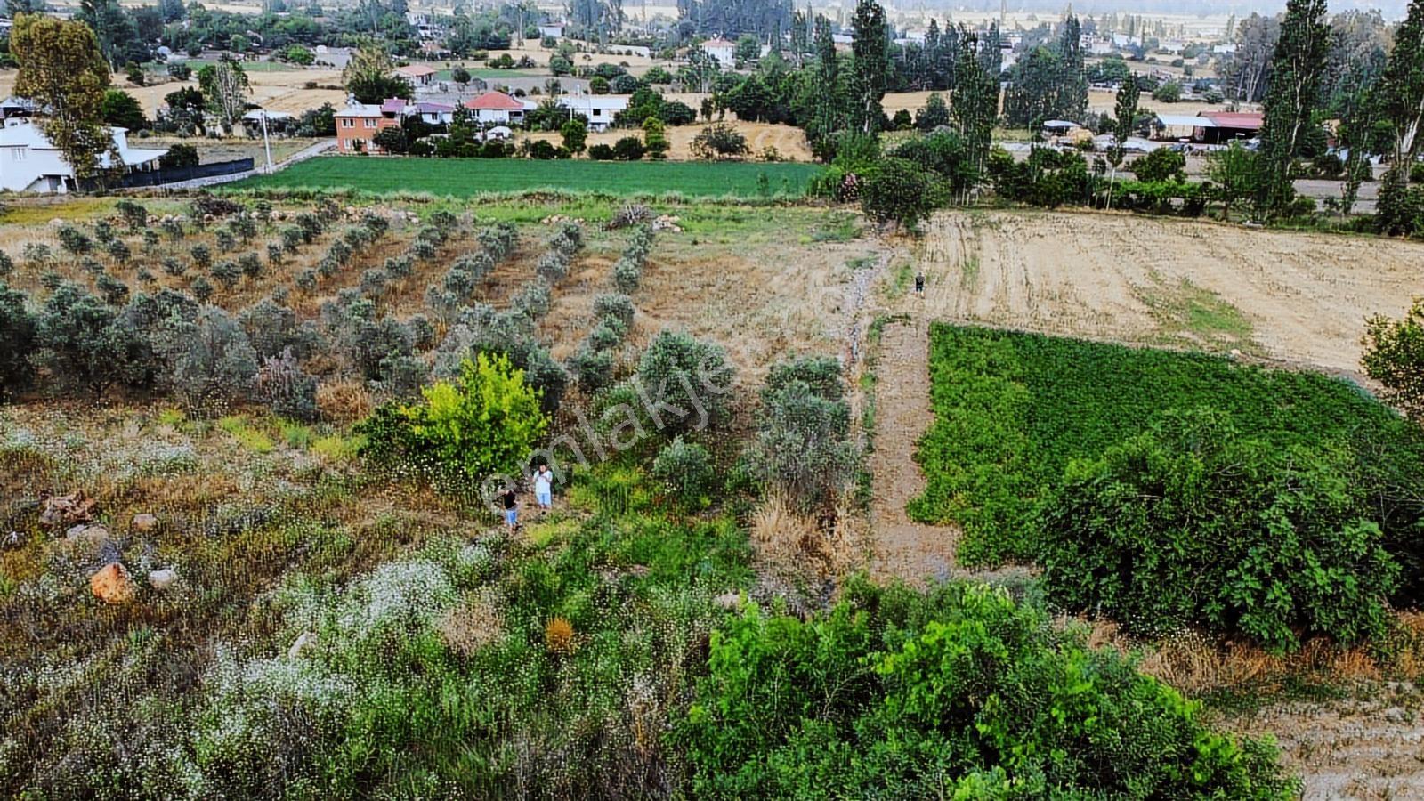 Uğurdan Seydikemer Ortaköyde1.800m² Doğa Manzaralı Köyiçi İmarlı - Görsel 5