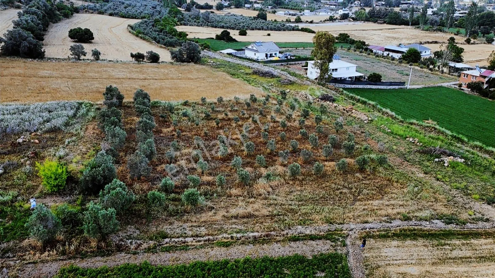 Uğurdan Seydikemer Ortaköyde1.800m² Doğa Manzaralı Köyiçi İmarlı - Görsel 4