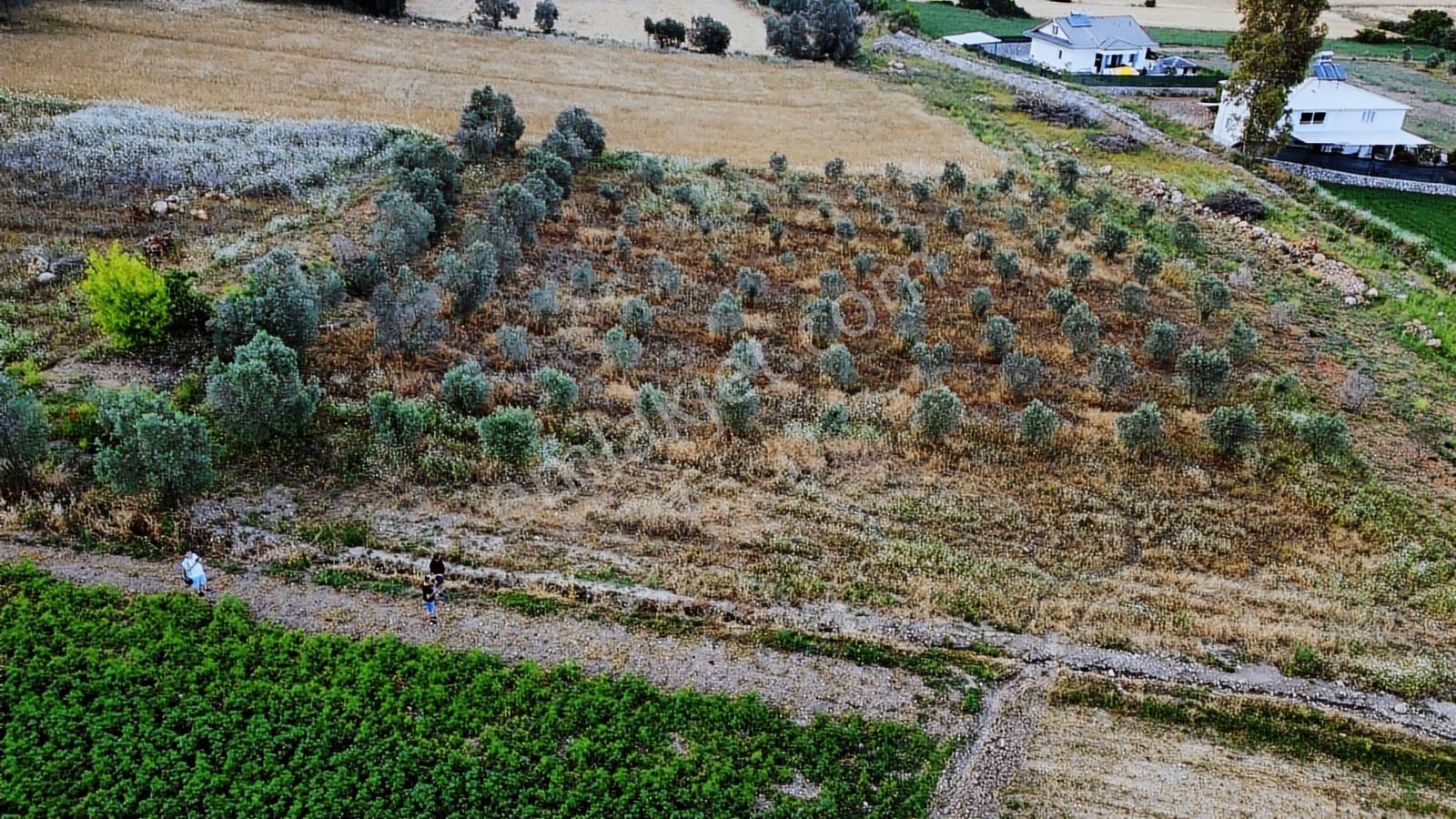 Uğurdan Seydikemer Ortaköyde1.800m² Doğa Manzaralı Köyiçi İmarlı - Görsel 25