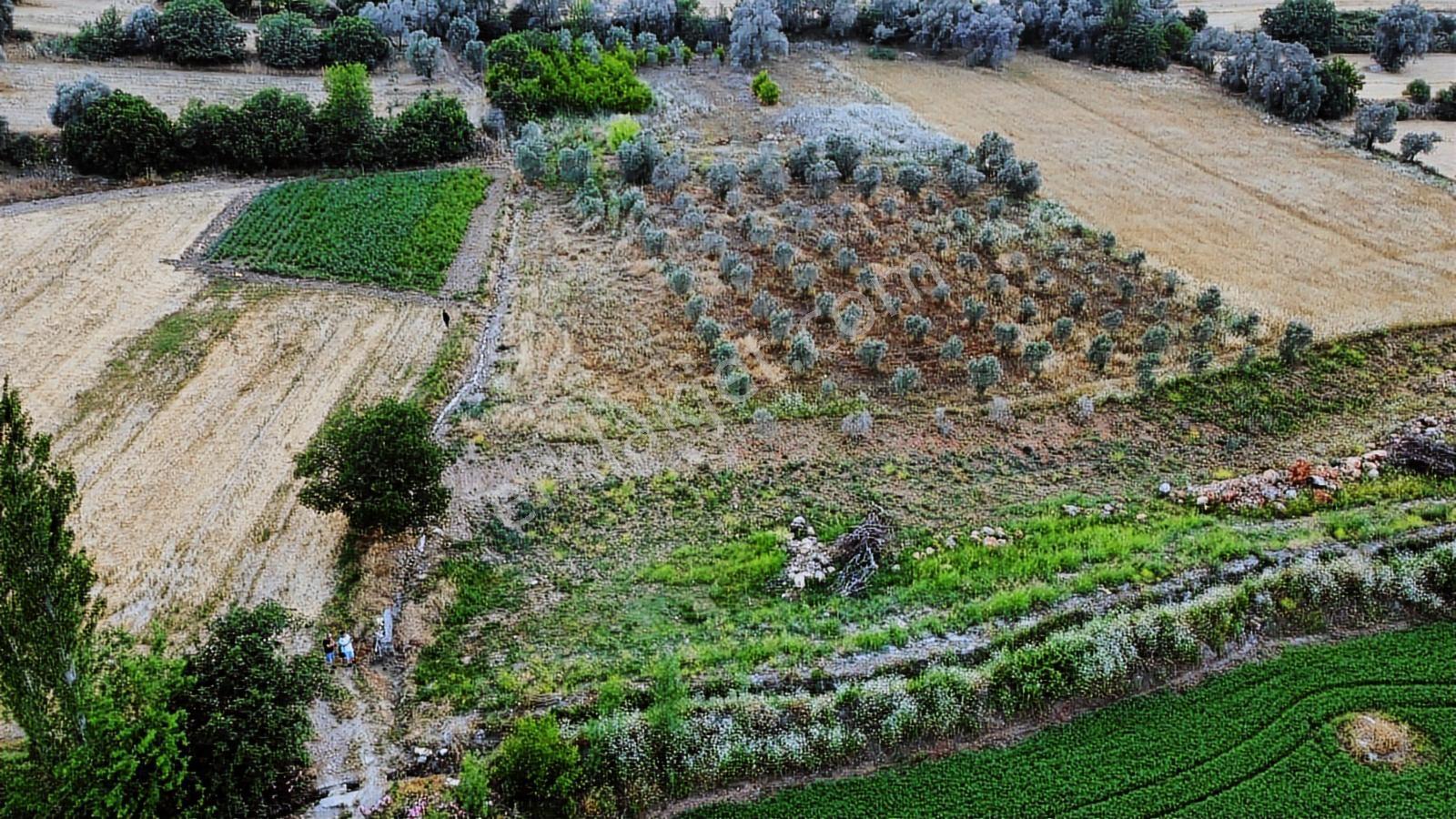 Uğurdan Seydikemer Ortaköyde1.800m² Doğa Manzaralı Köyiçi İmarlı - Görsel 22