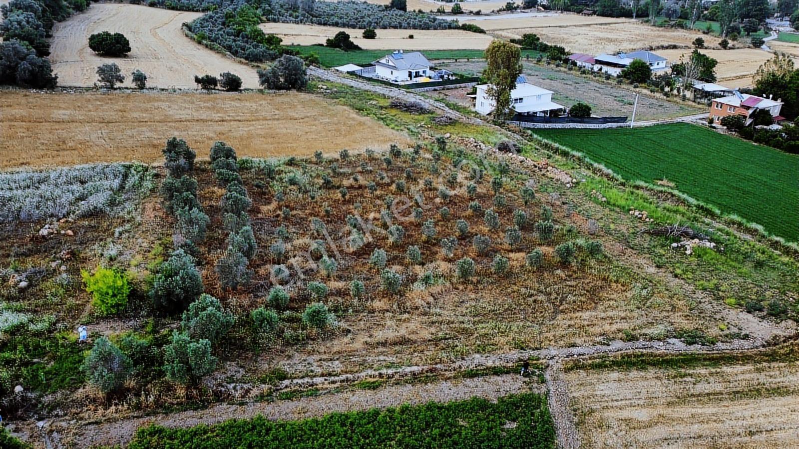Uğurdan Seydikemer Ortaköyde1.800m² Doğa Manzaralı Köyiçi İmarlı - Görsel 20