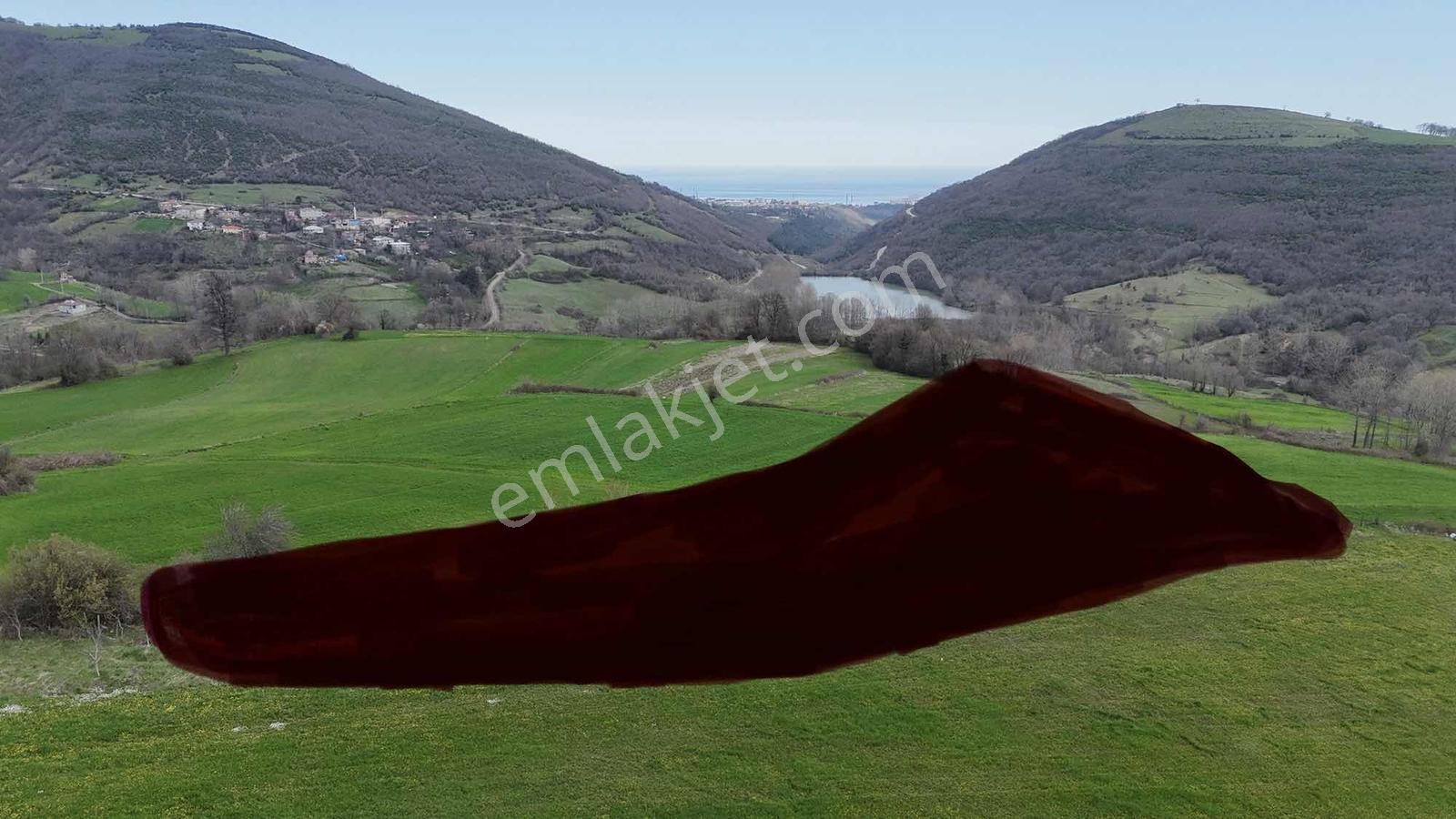 27 Dönüm İçinden 6 Dönüm Satılık Yatırıma Uygun Arazi - Görsel 3