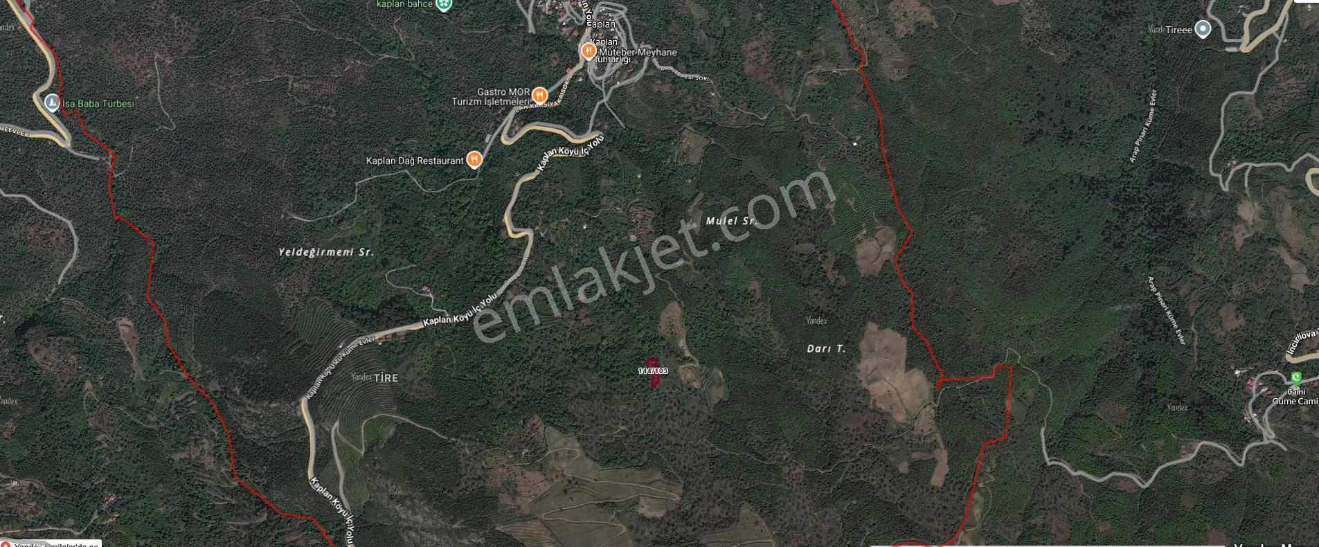 Tire Kaplan Köyünde Kestanelik Arazi