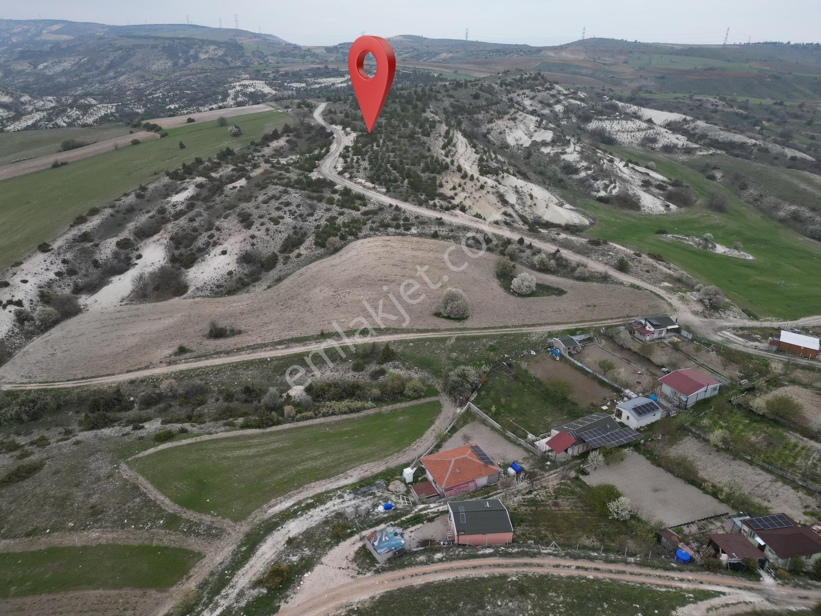 40 Adet Yetişmiş Çam Ağaçları İçerisinde Tek Tapu 3586 M2 - Görsel 20