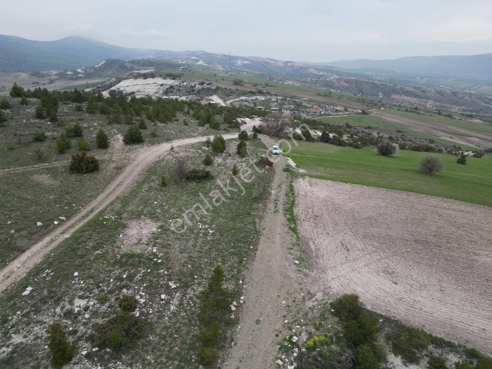 40 Adet Yetişmiş Çam Ağaçları İçerisinde Tek Tapu 3586 M2 - Görsel 6