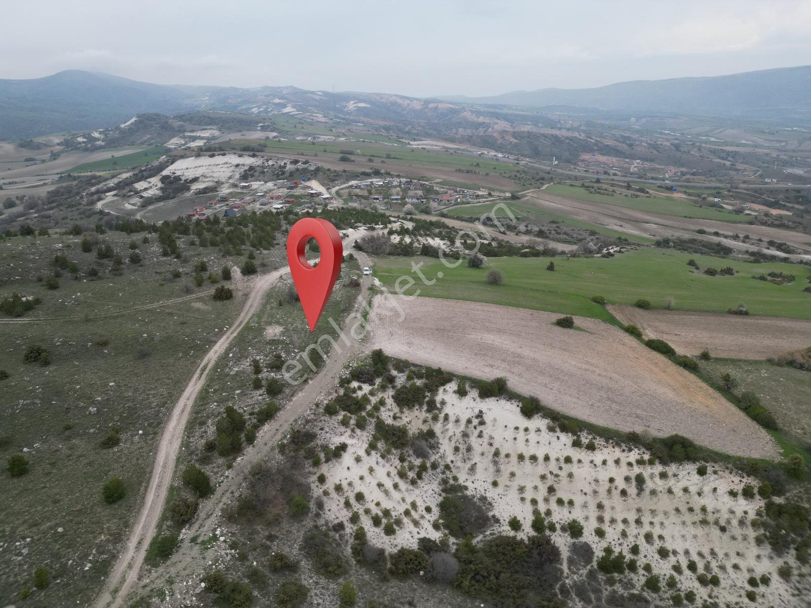 40 Adet Yetişmiş Çam Ağaçları İçerisinde Tek Tapu 3586 M2 - Görsel 31