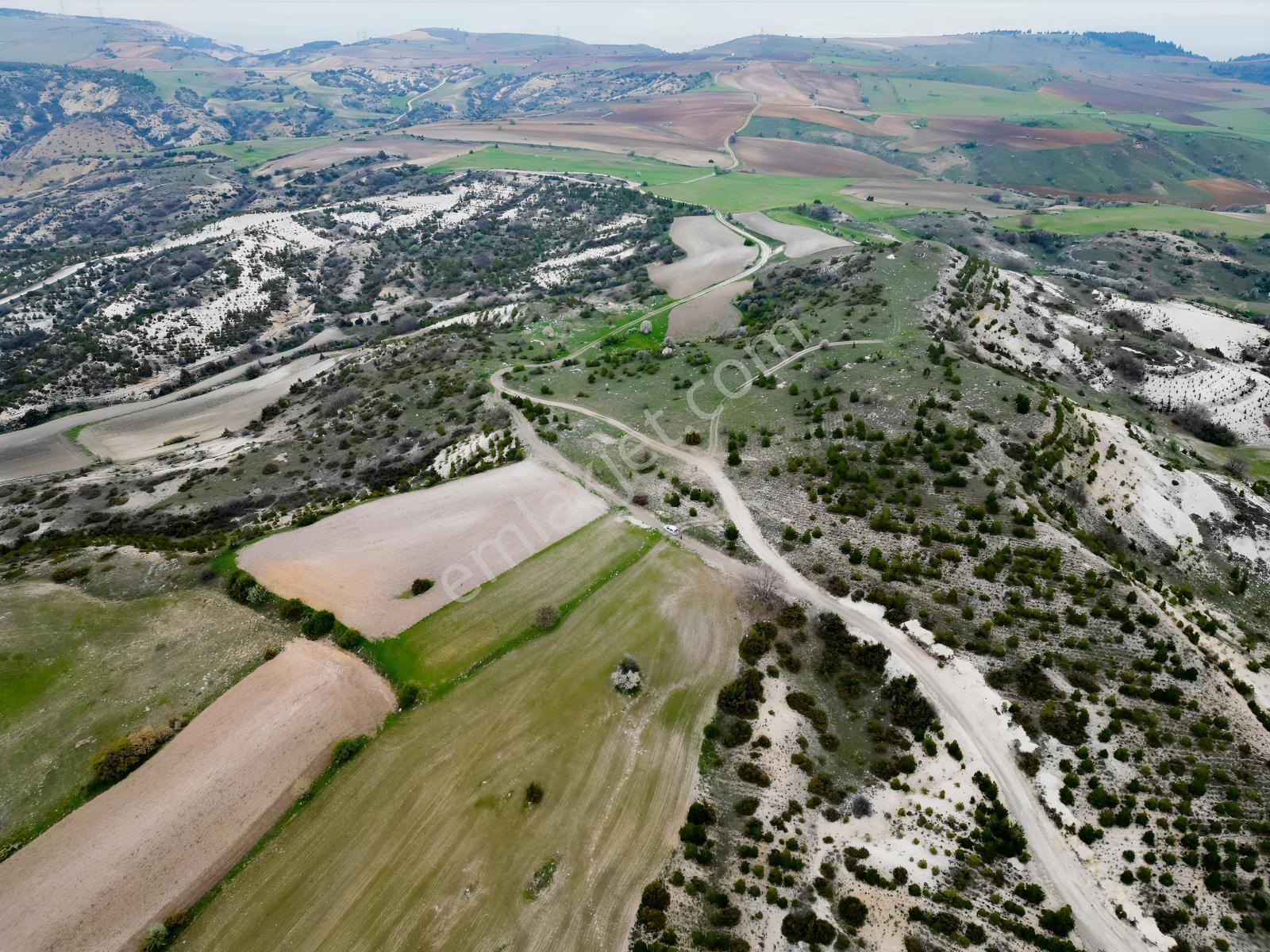 40 Adet Yetişmiş Çam Ağaçları İçerisinde Tek Tapu 3586 M2 - Görsel 29