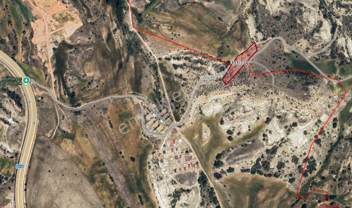 40 Adet Yetişmiş Çam Ağaçları İçerisinde Tek Tapu 3586 M2 - Görsel 12