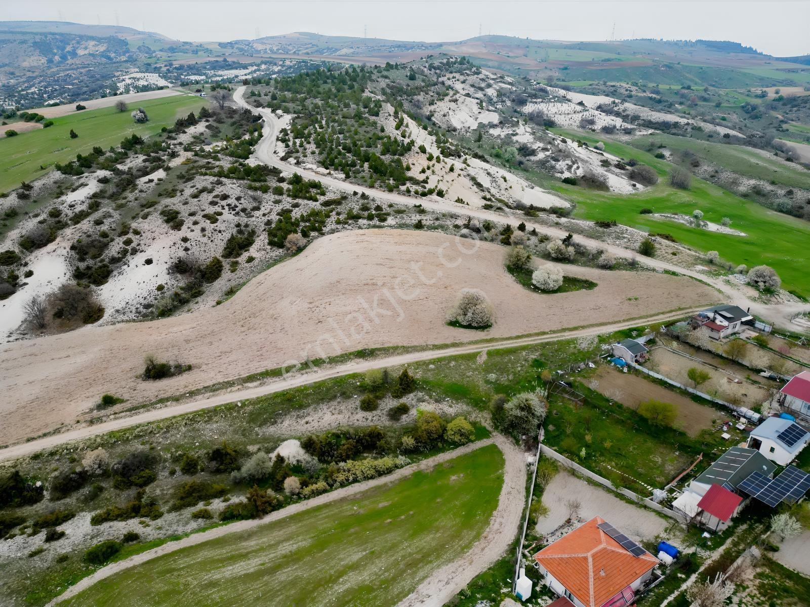 40 Adet Yetişmiş Çam Ağaçları İçerisinde Tek Tapu 3586 M2 - Görsel 21