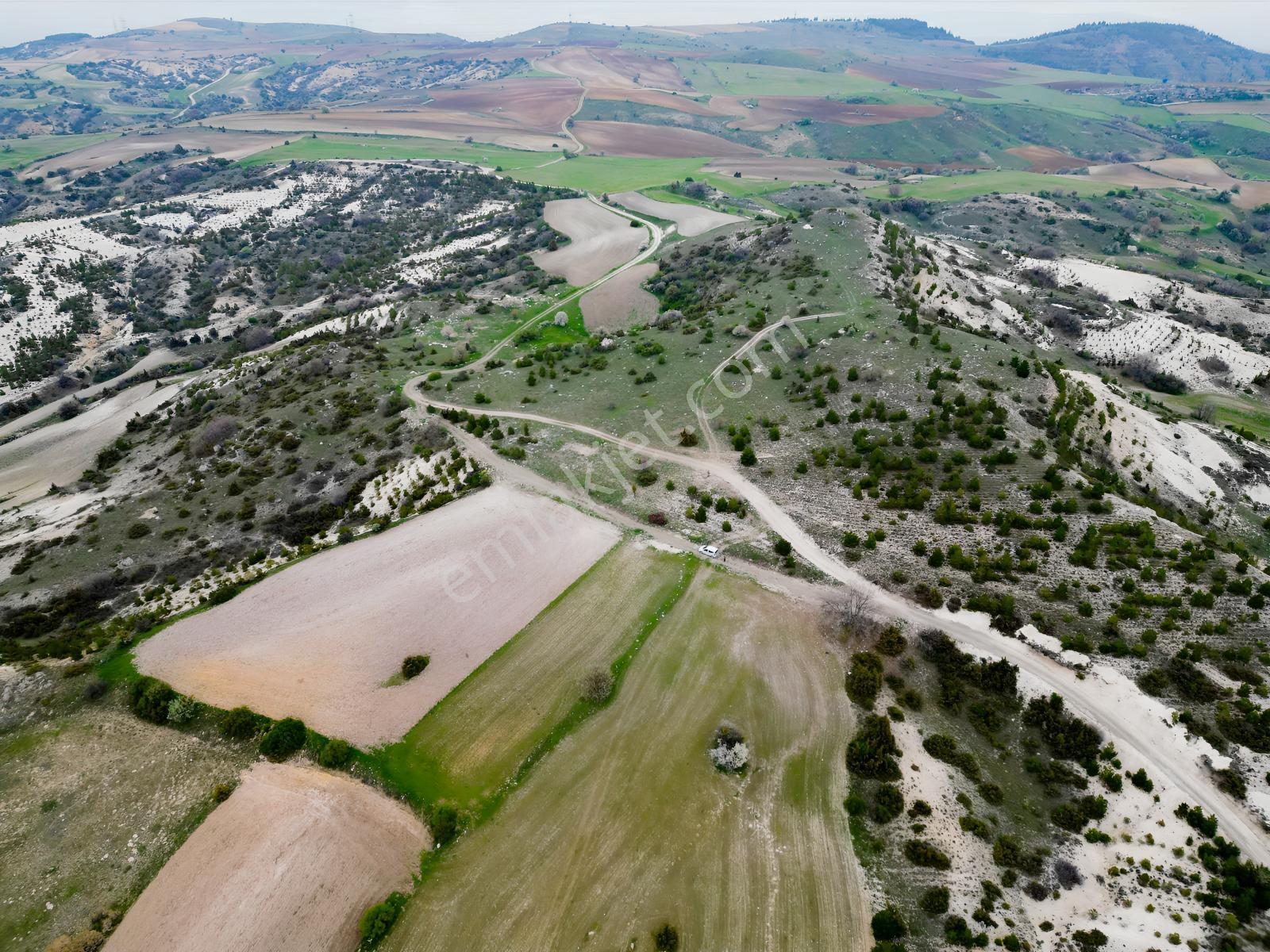 40 Adet Yetişmiş Çam Ağaçları İçerisinde Tek Tapu 3586 M2 - Görsel 9