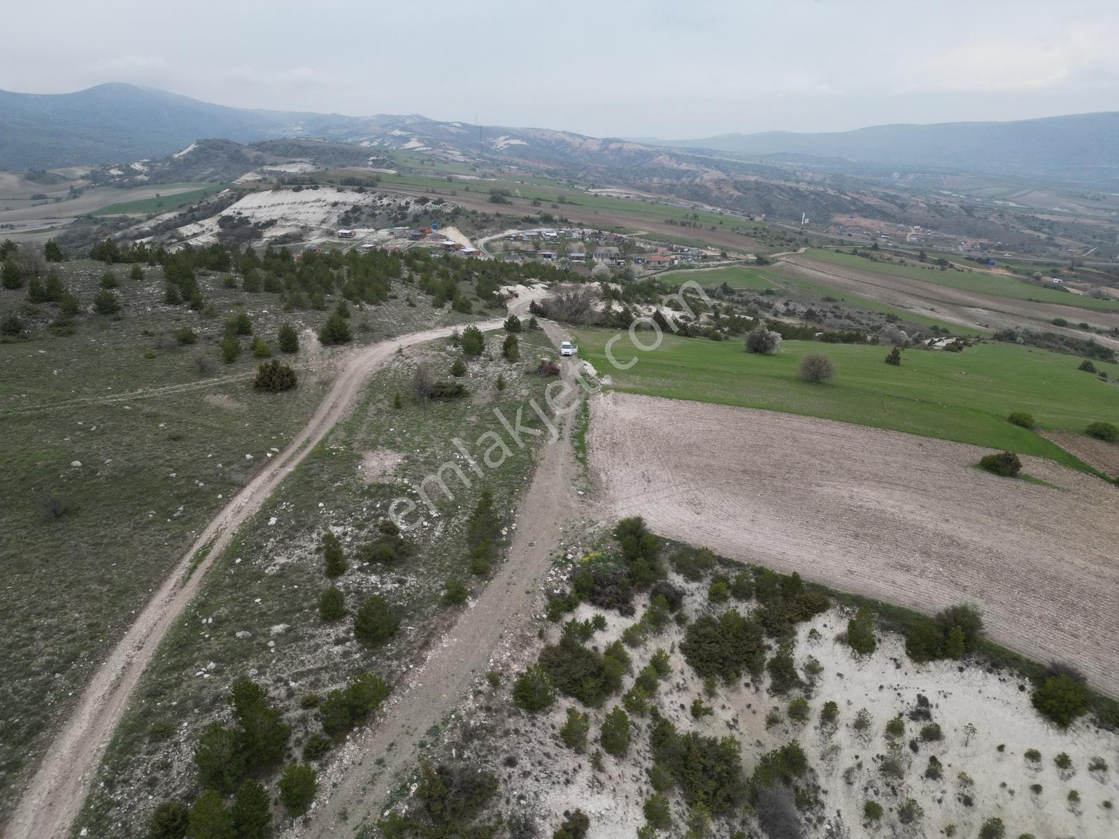 40 Adet Yetişmiş Çam Ağaçları İçerisinde Tek Tapu 3586 M2 - Görsel 5