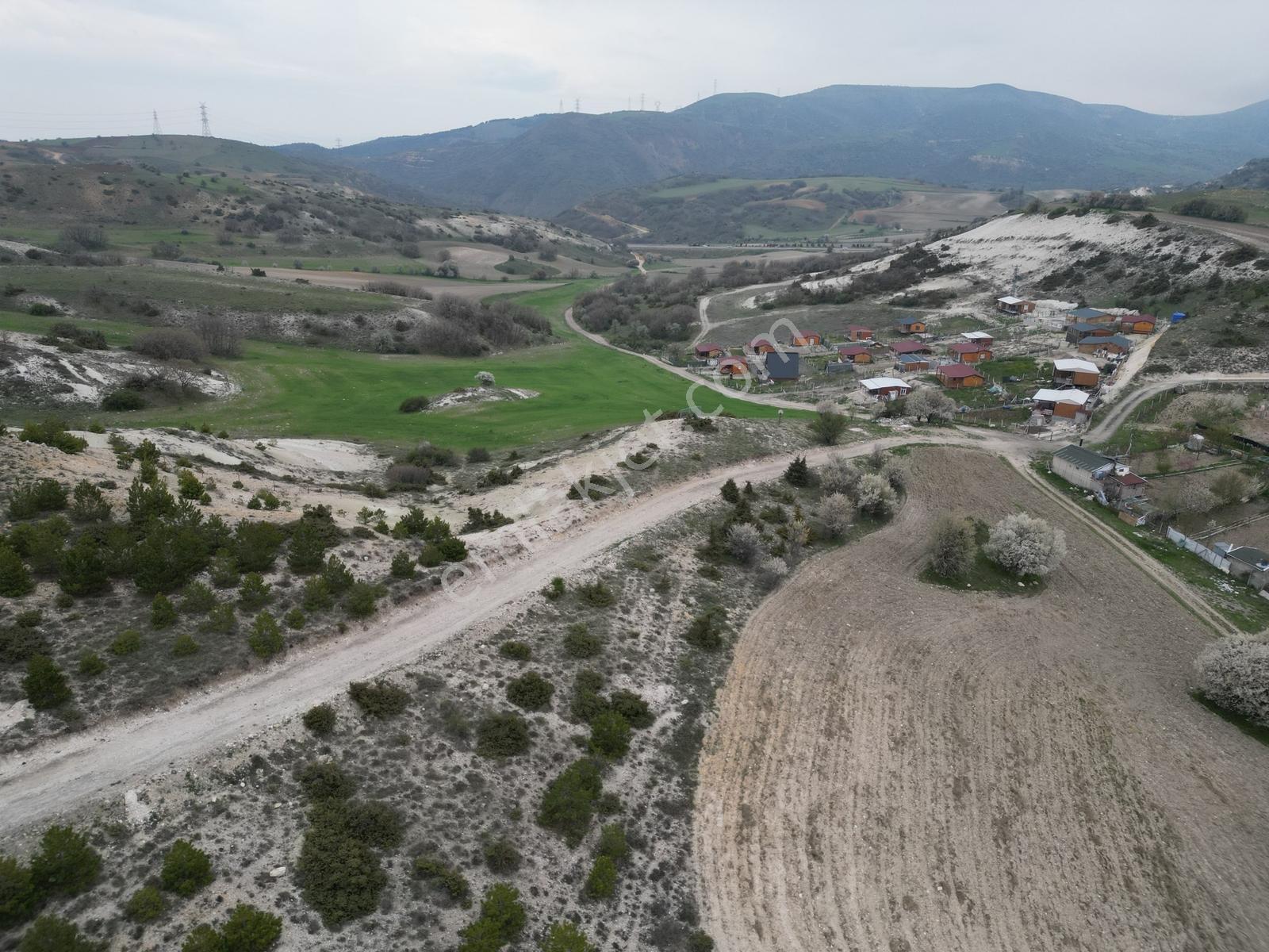 40 Adet Yetişmiş Çam Ağaçları İçerisinde Tek Tapu 3586 M2 - Görsel 2