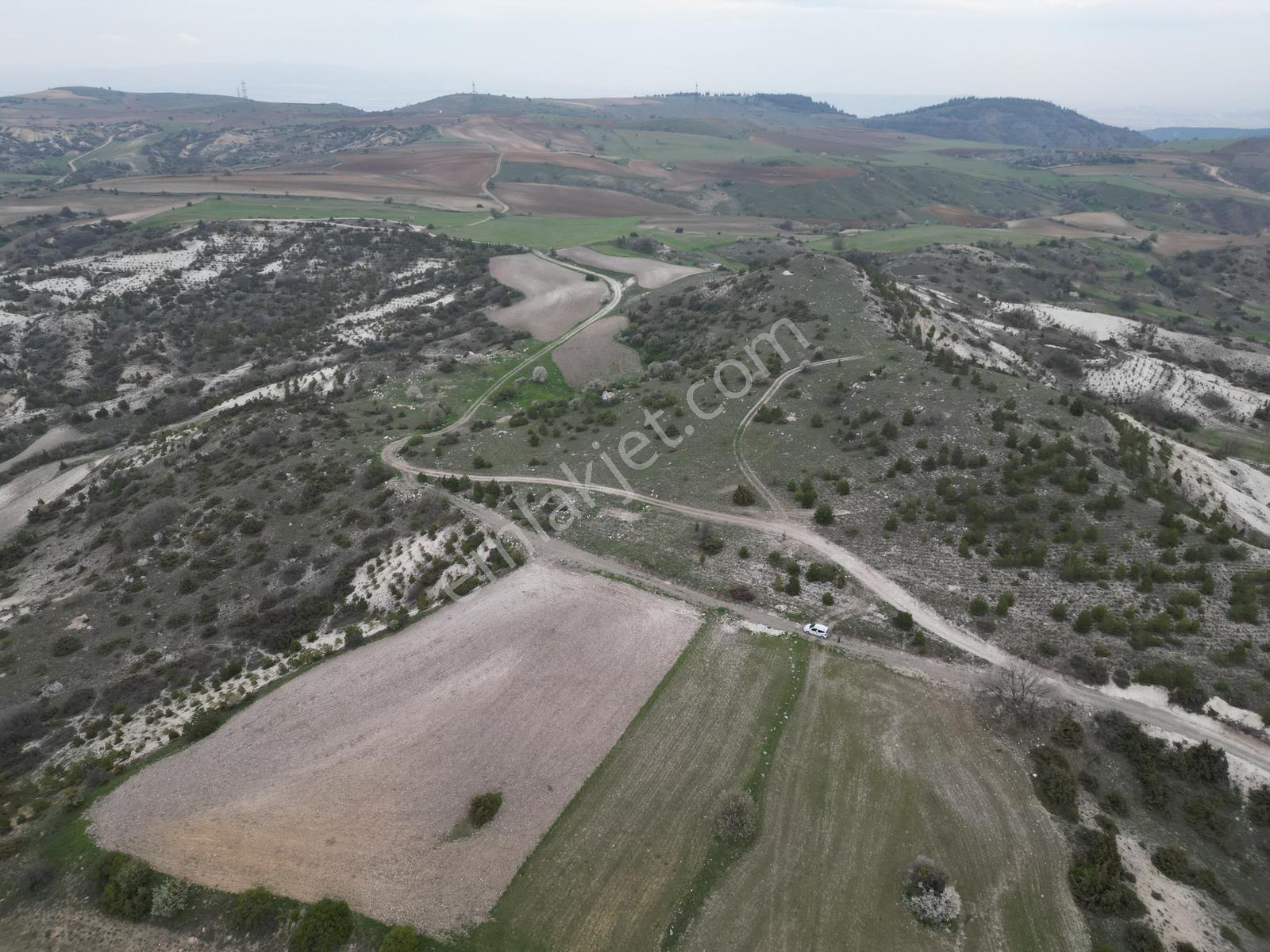 40 Adet Yetişmiş Çam Ağaçları İçerisinde Tek Tapu 3586 M2 - Görsel 8