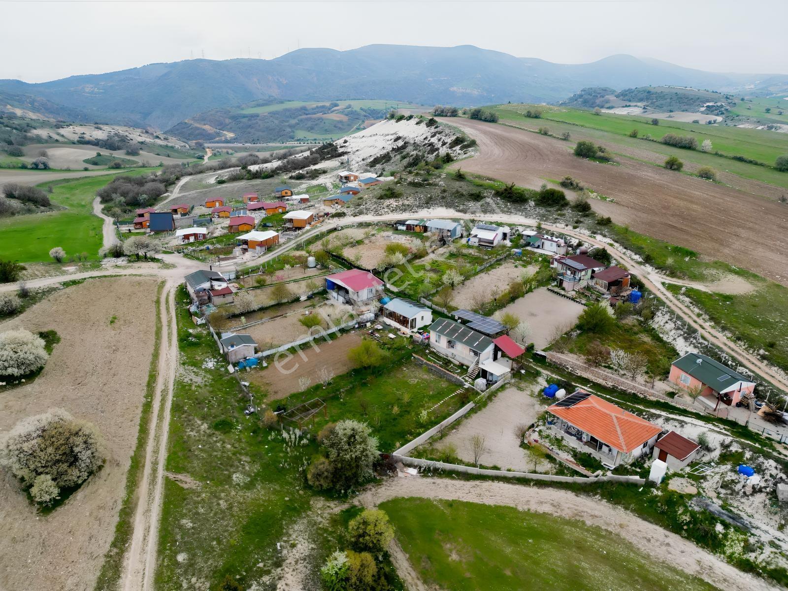 40 Adet Yetişmiş Çam Ağaçları İçerisinde Tek Tapu 3586 M2 - Görsel 17