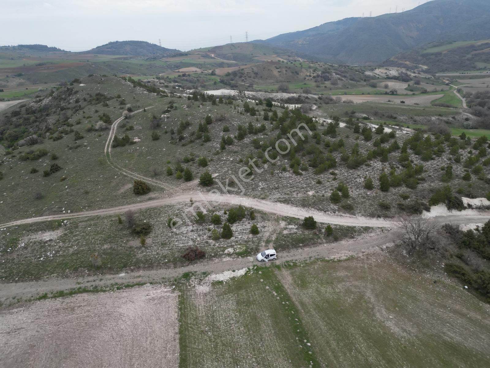 40 Adet Yetişmiş Çam Ağaçları İçerisinde Tek Tapu 3586 M2 - Görsel 13
