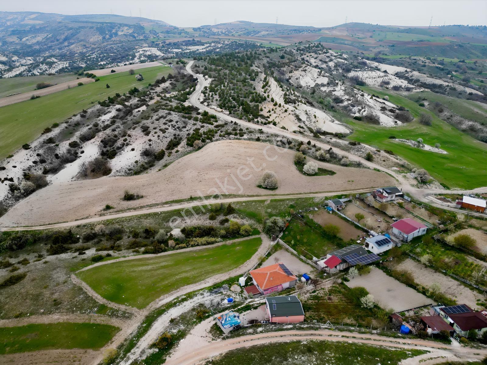 40 Adet Yetişmiş Çam Ağaçları İçerisinde Tek Tapu 3586 M2 - Görsel 3