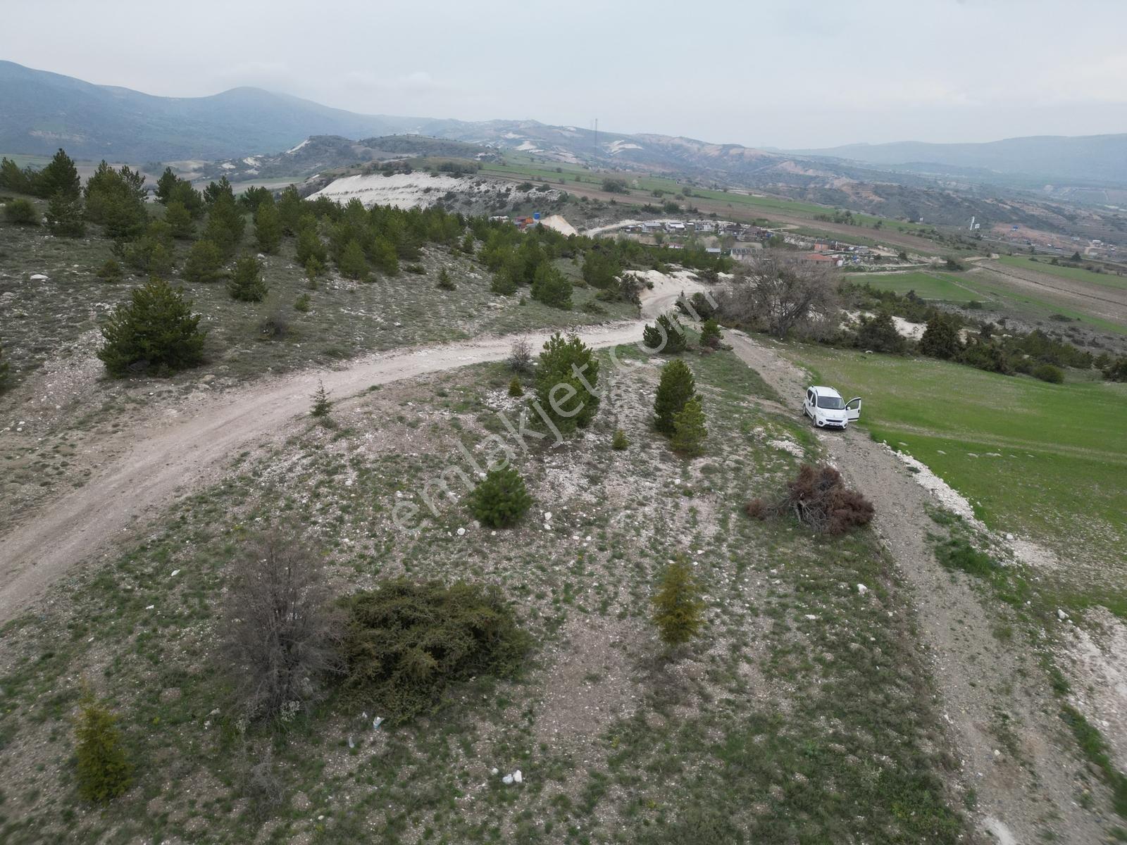 40 Adet Yetişmiş Çam Ağaçları İçerisinde Tek Tapu 3586 M2 - Görsel 15