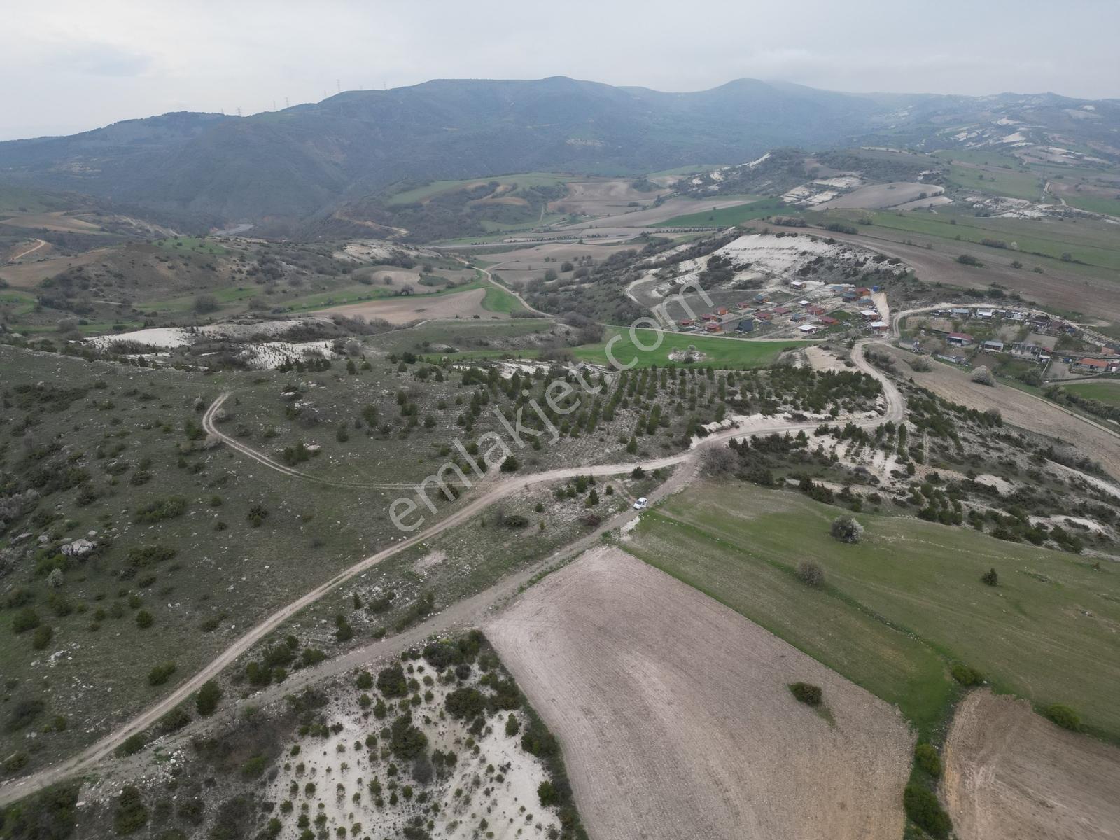 40 Adet Yetişmiş Çam Ağaçları İçerisinde Tek Tapu 3586 M2 - Görsel 4
