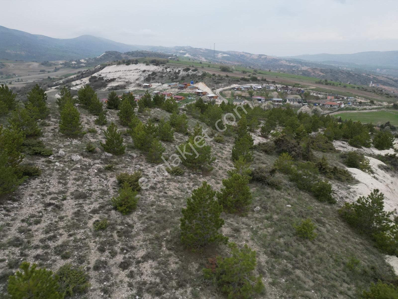 40 Adet Yetişmiş Çam Ağaçları İçerisinde Tek Tapu 3586 M2 - Görsel 22