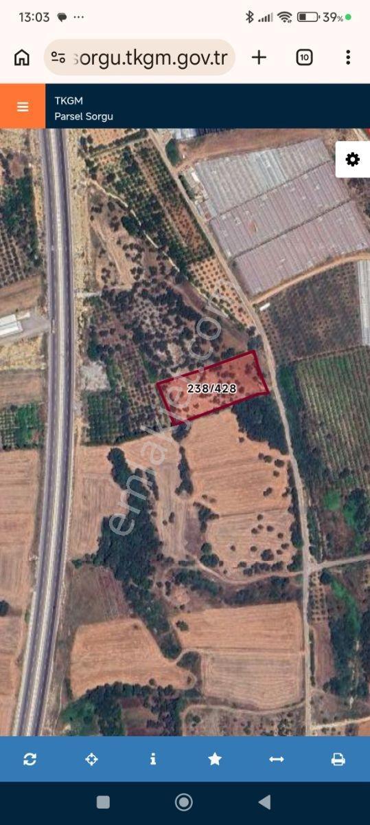 Antalya Aksu Yeşil Karaman Satılık Tarla 4642 M2