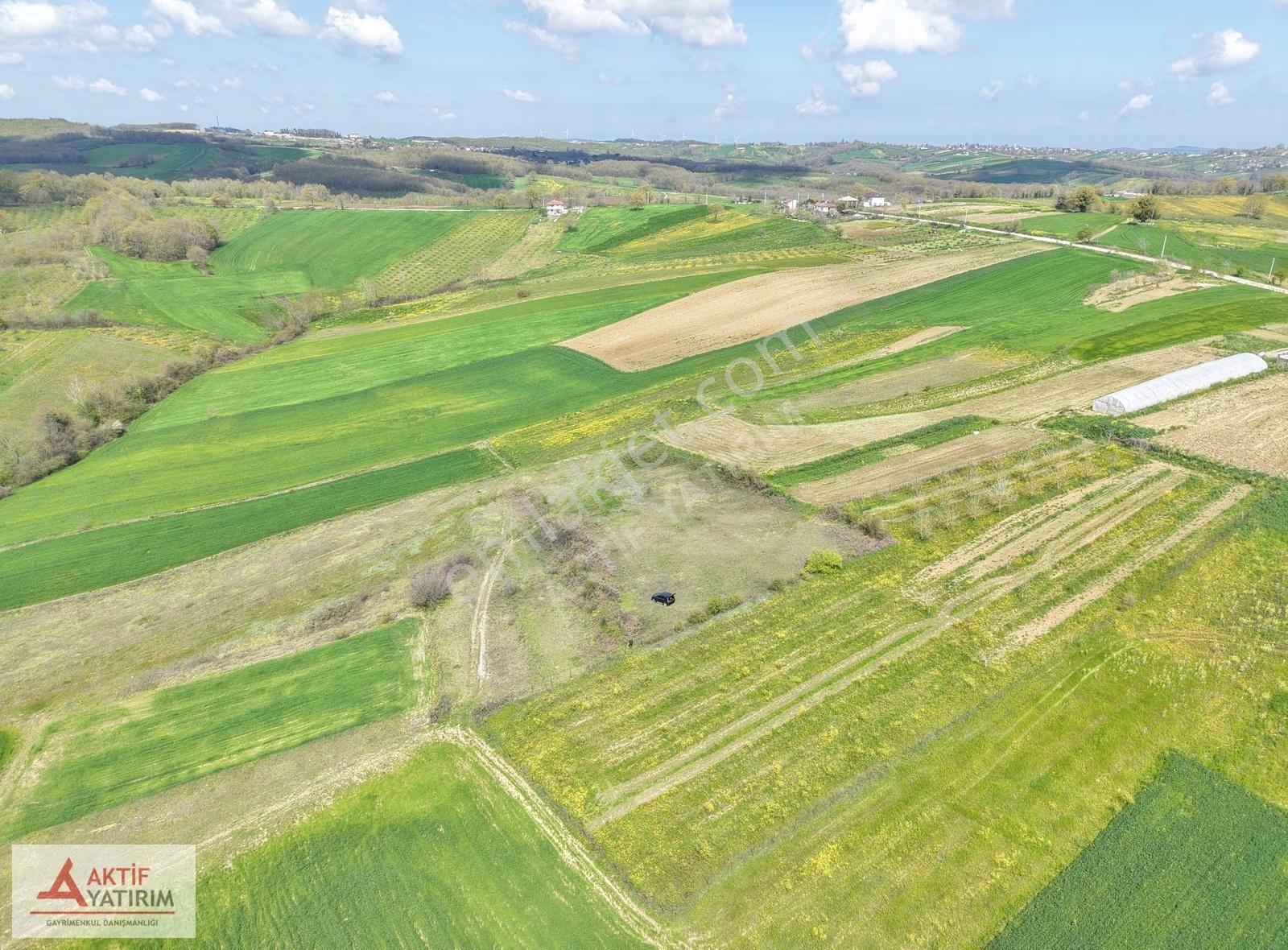Kırkarmut Mahallesi'nde Yerleşime Yakın 533 M2 Yatırımlık Tarla - Görsel 22