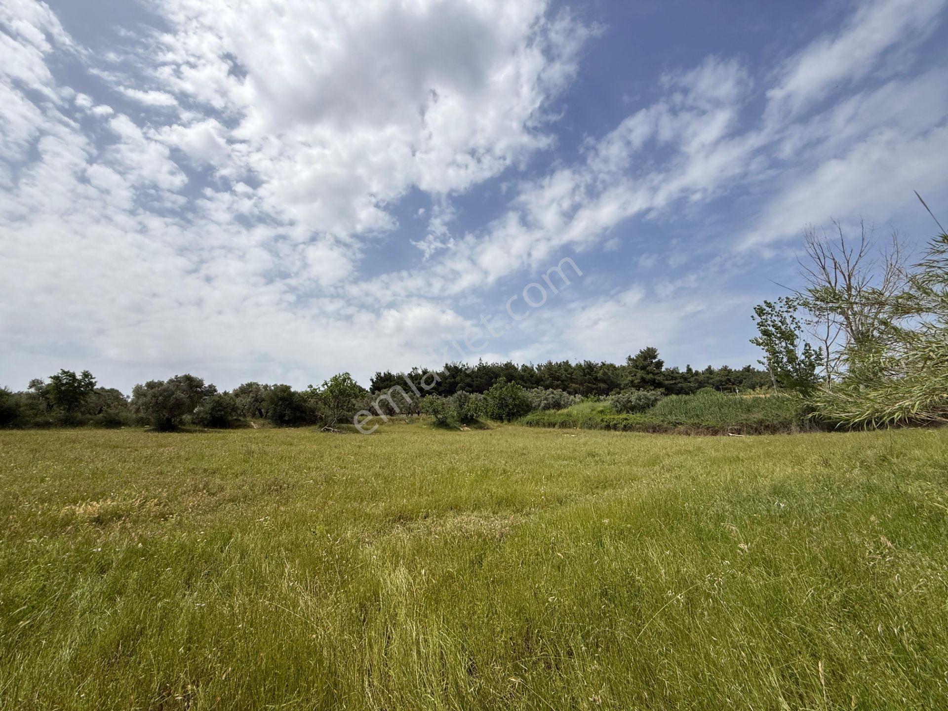 Yazıbaşı Torbalı’da 6.300 M² Konut İmarlı Arsa – Projelik Yatırım Fırsatı - Görsel 12