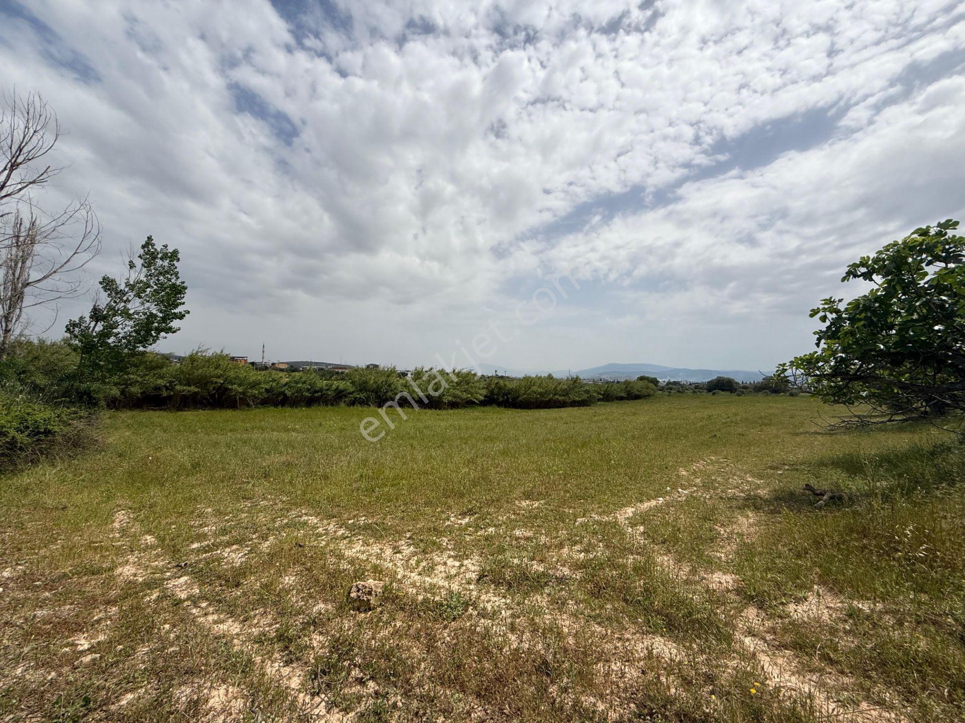 Yazıbaşı Torbalı’da 6.300 M² Konut İmarlı Arsa – Projelik Yatırım Fırsatı - Görsel 13