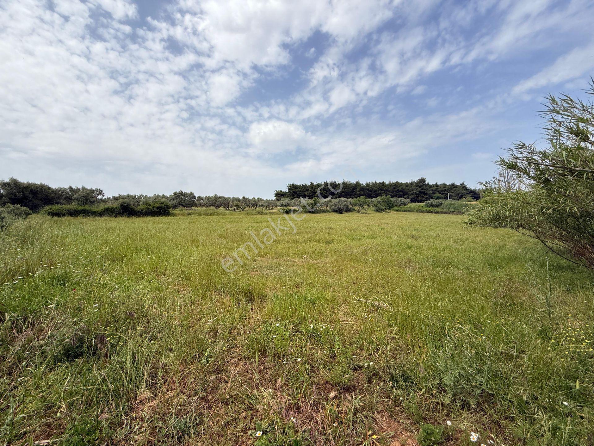 Yazıbaşı Torbalı’da 6.300 M² Konut İmarlı Arsa – Projelik Yatırım Fırsatı - Görsel 9