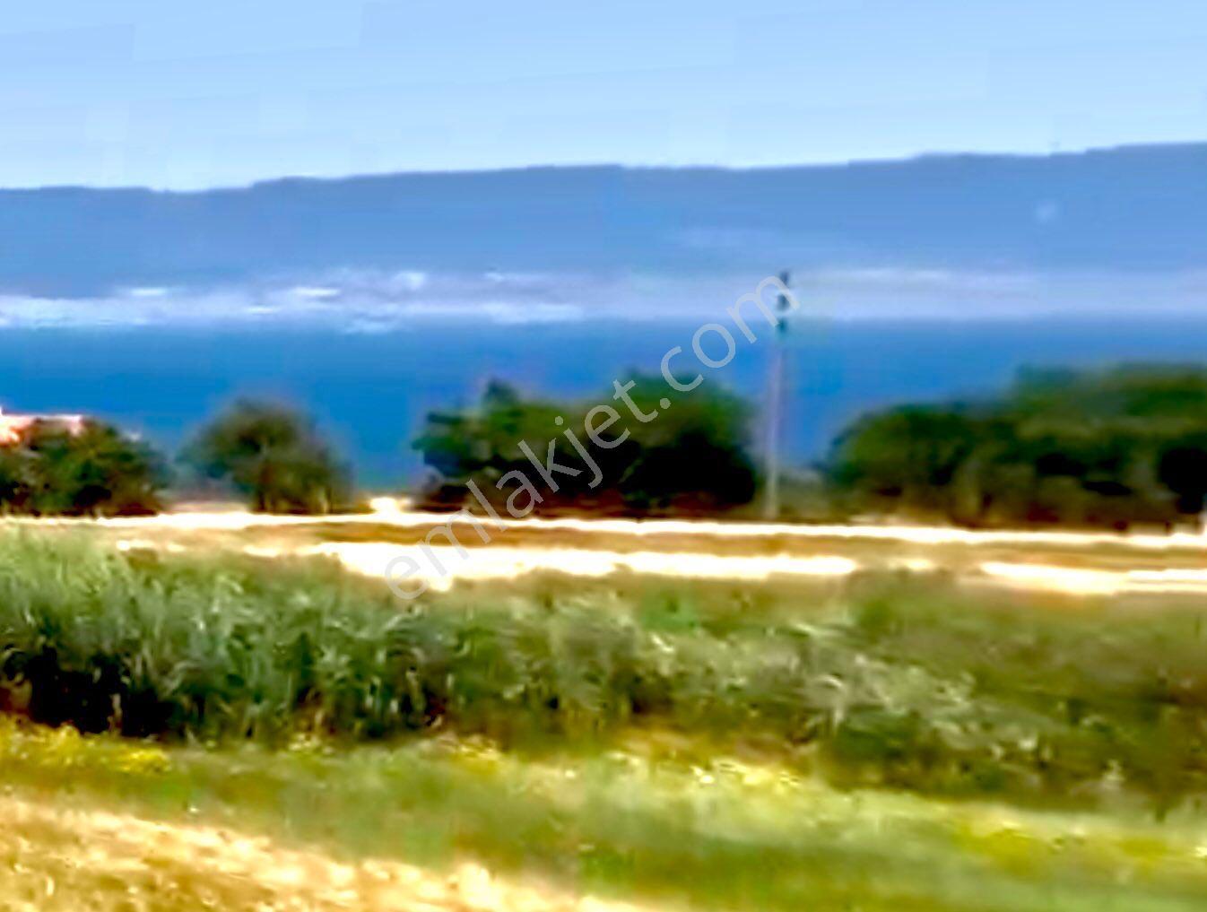 Saroz Plajına Nazır, Panoramik Manzaralı, İmarlı Köşebaşı - Görsel 17