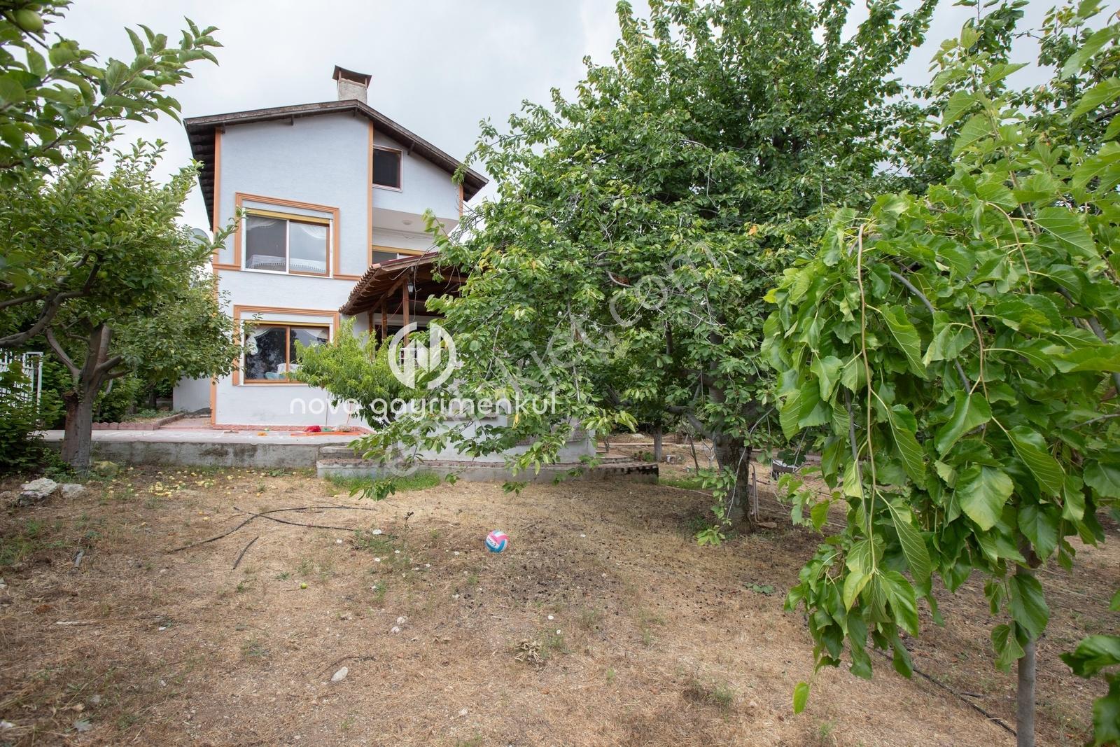 **nova** Kepirli Yaylasında Orman İçinde Görkemli Bir Yapı