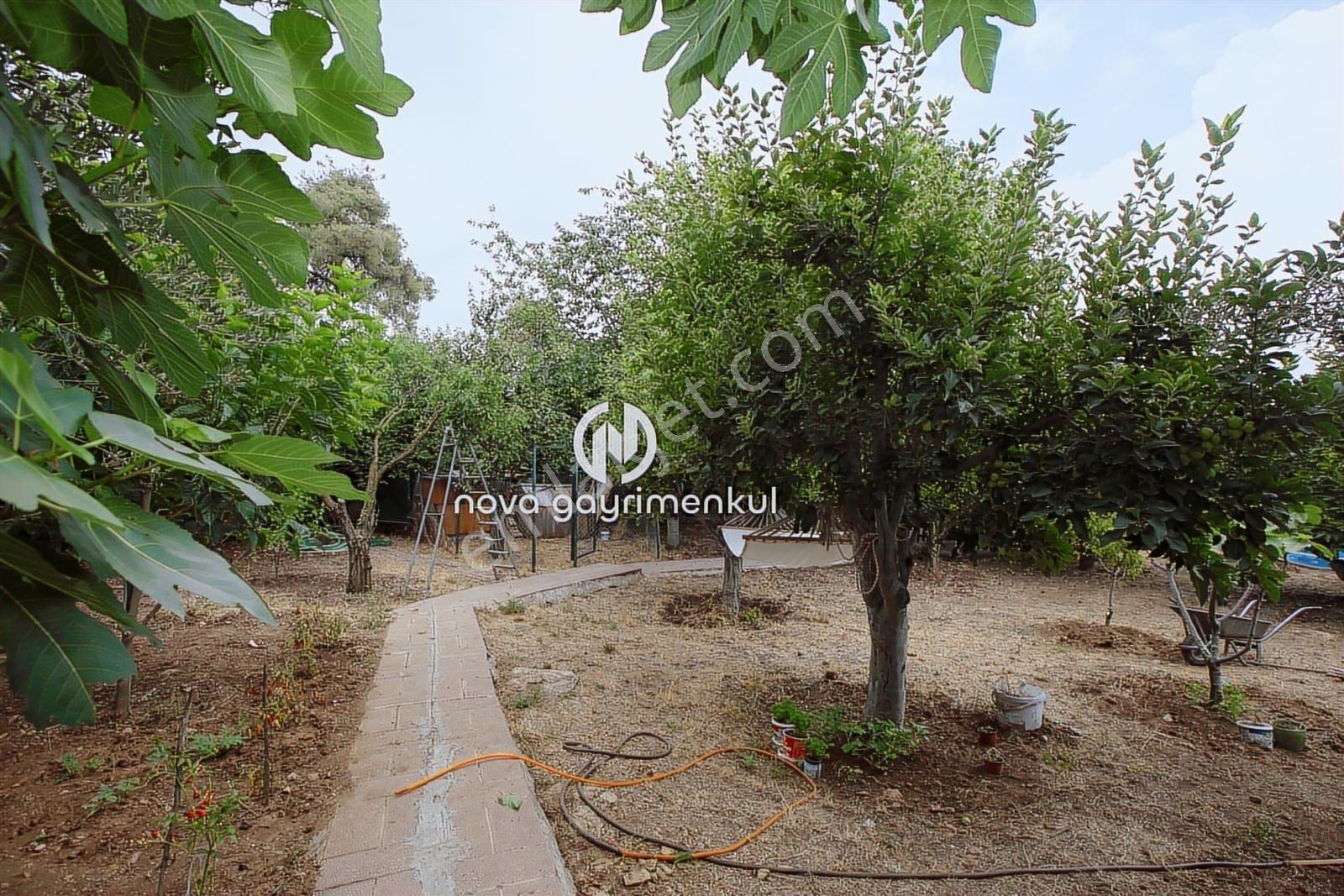 **nova** Kepirli Yaylasında Orman İçinde Görkemli Bir Yapı - Görsel 28