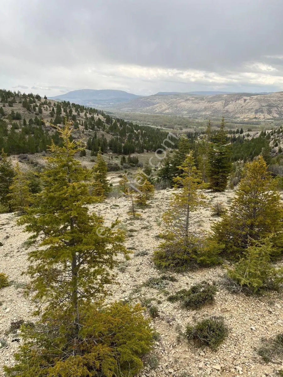 Keçimuhsinede Eşsiz Manzaralı 33.000 M² Satılık Tarla - Görsel 5