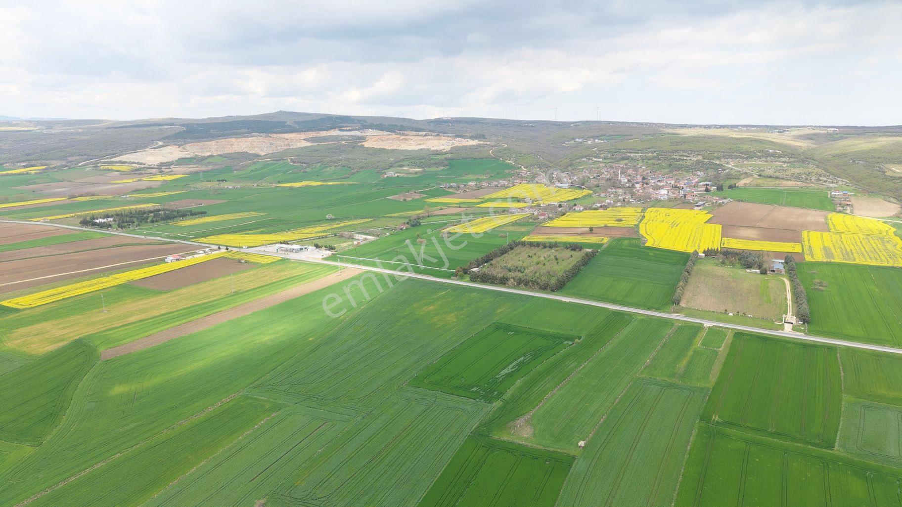 Cadde Gayrimenkul’den Kırklareli Vize Okçular Mahallesi Satılık Tarla - Görsel 14