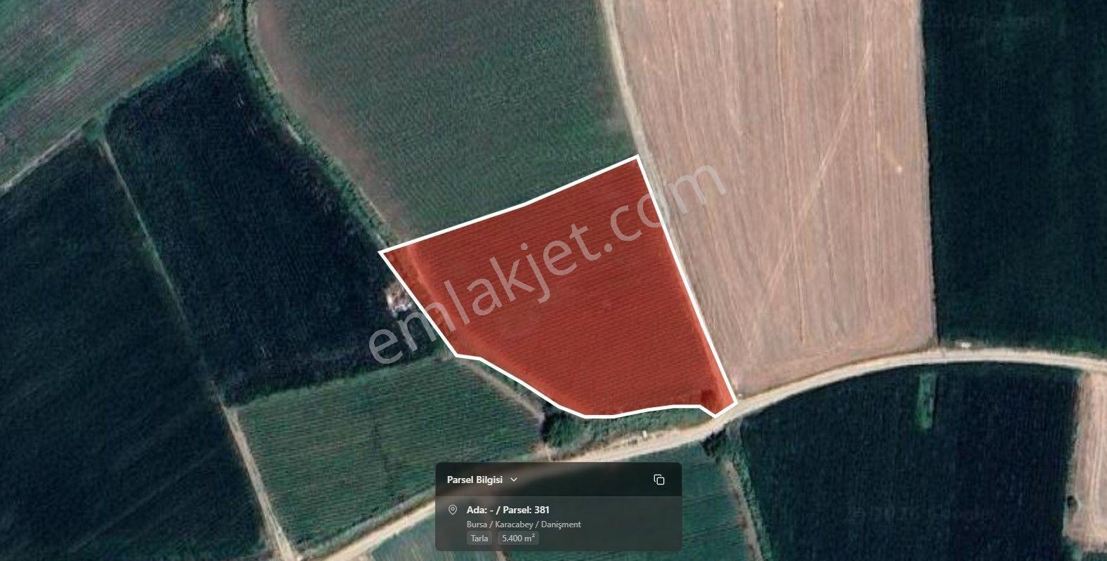 Bursa Karacabey Danişmentte Yola Cephe 5.400 M² Yatırımlık Tarla - Görsel 6