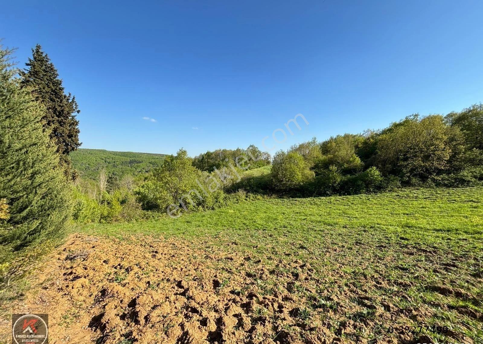 Kardeşten Karaahmetli Mahallesi 7942,64m² Satılık Tarım Arazisi