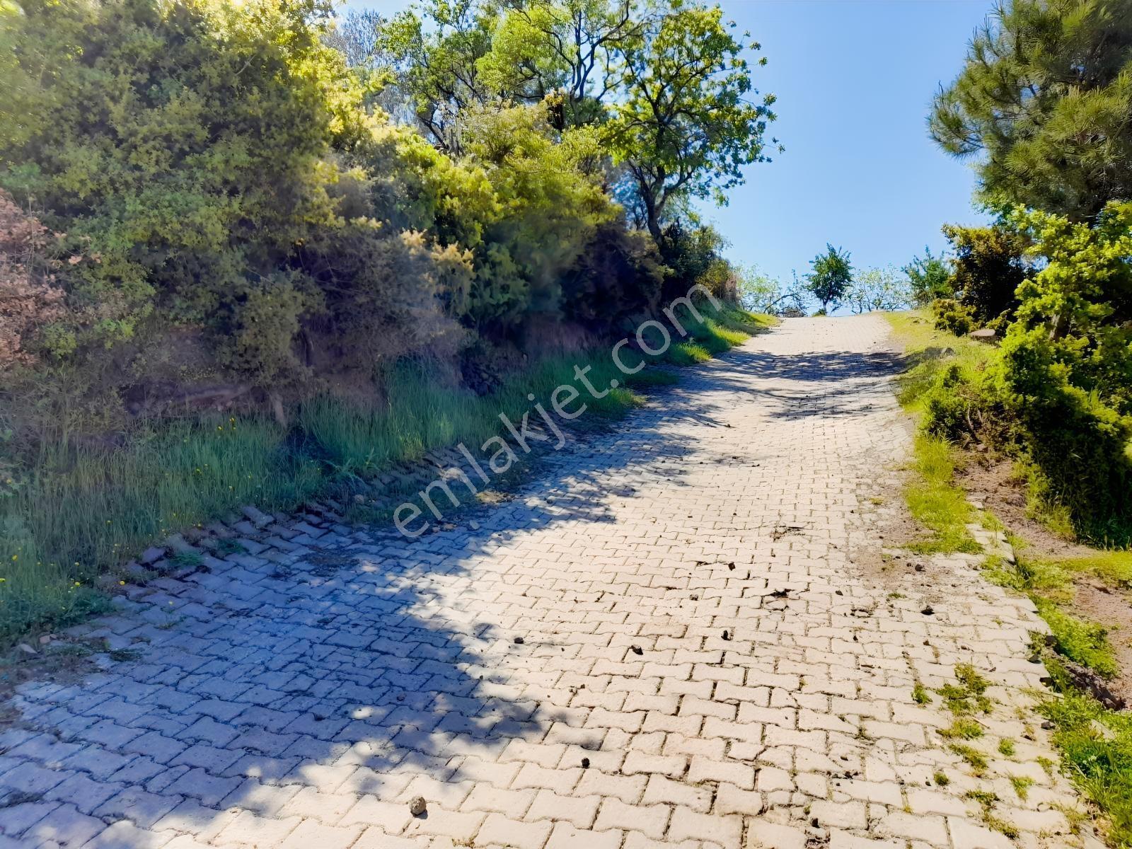 Ayvalık Bulutçeşmede Eşsiz Konumda Satılık Arsa - Görsel 4