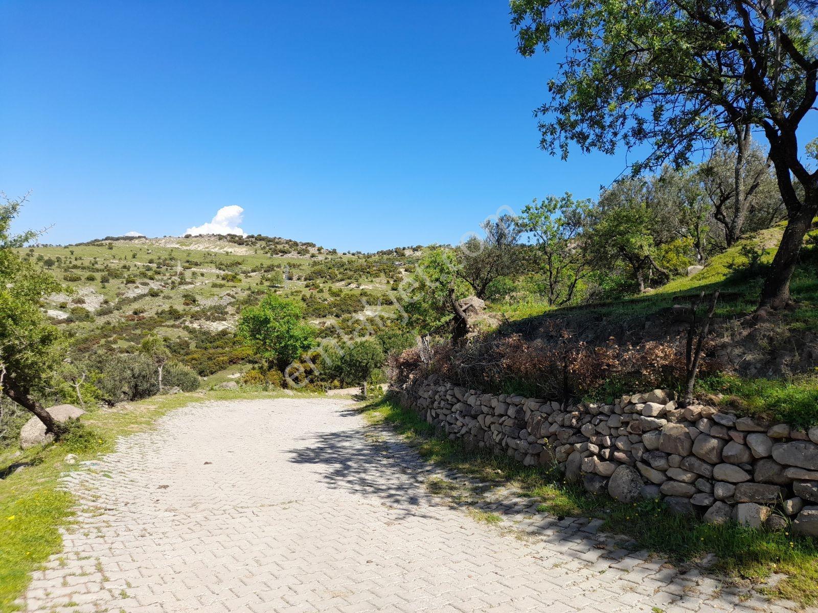 Ayvalık Bulutçeşmede Eşsiz Konumda Satılık Arsa - Görsel 23