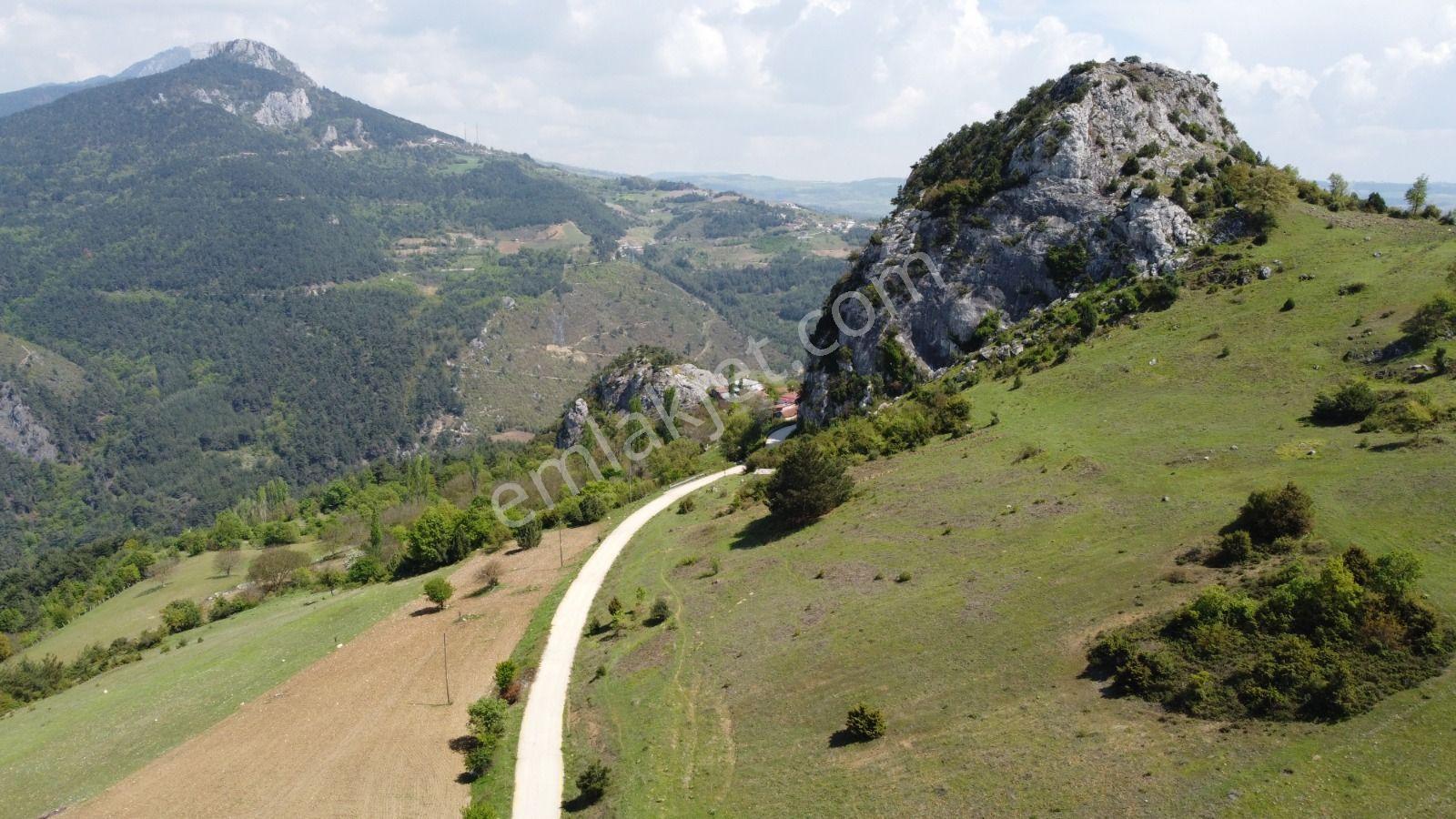 Sakarya Geyve Ahibaba Da Yola Cepheli 12.652 M²yatırımlık Arazi - Görsel 10