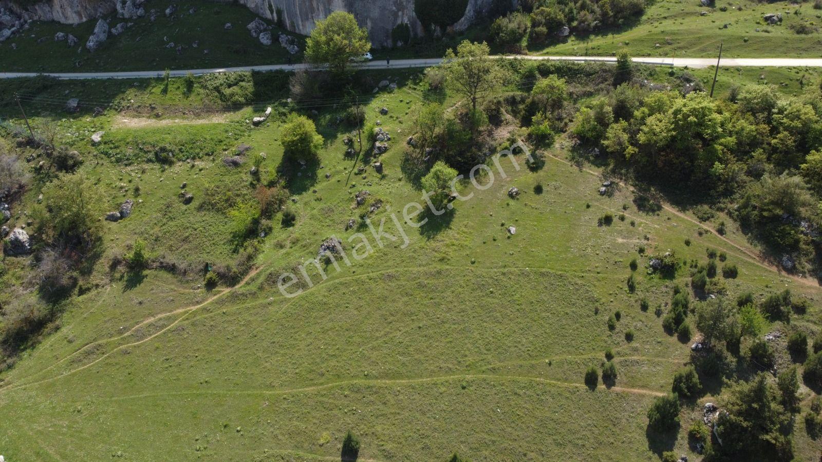 Sakarya Geyve Ahibaba Da Yola Cepheli 12.652 M²yatırımlık Arazi - Görsel 4
