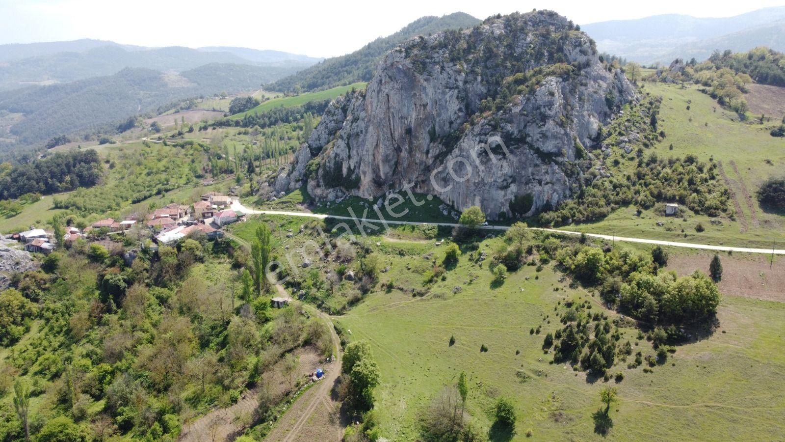 Sakarya Geyve Ahibaba Da Yola Cepheli 12.652 M²yatırımlık Arazi - Görsel 19