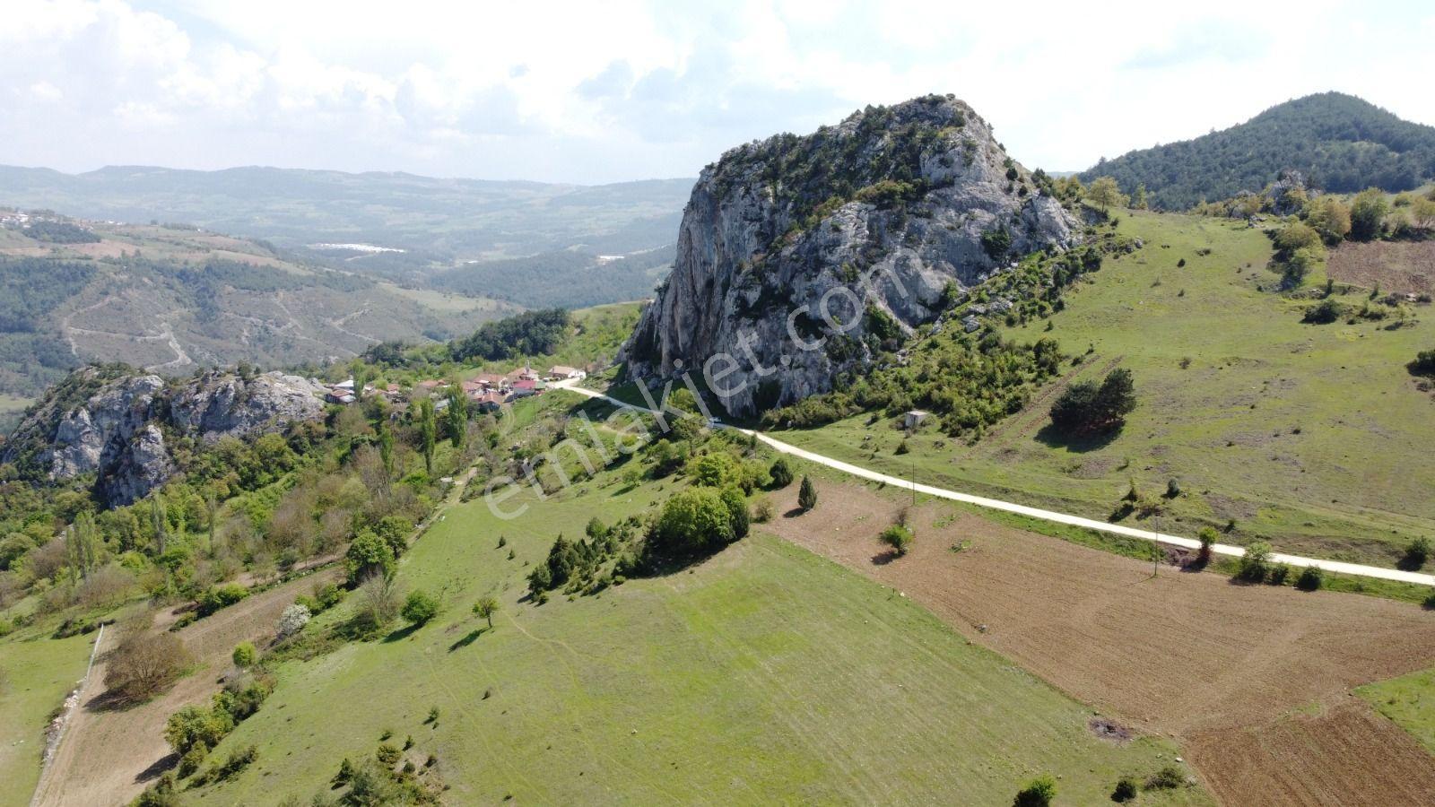 Sakarya Geyve Ahibaba Da Yola Cepheli 12.652 M²yatırımlık Arazi - Görsel 20