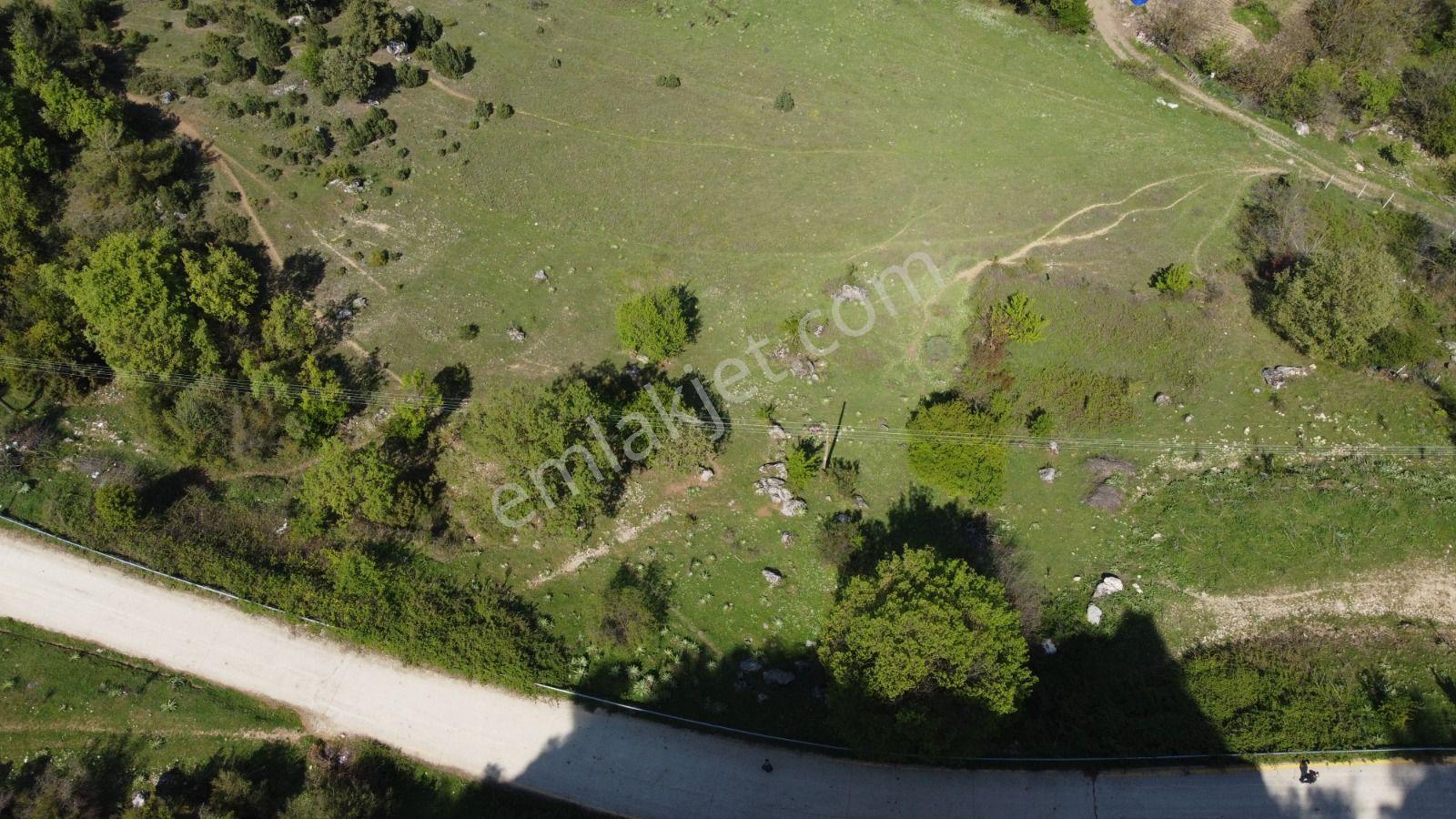 Sakarya Geyve Ahibaba Da Yola Cepheli 12.652 M²yatırımlık Arazi - Görsel 11