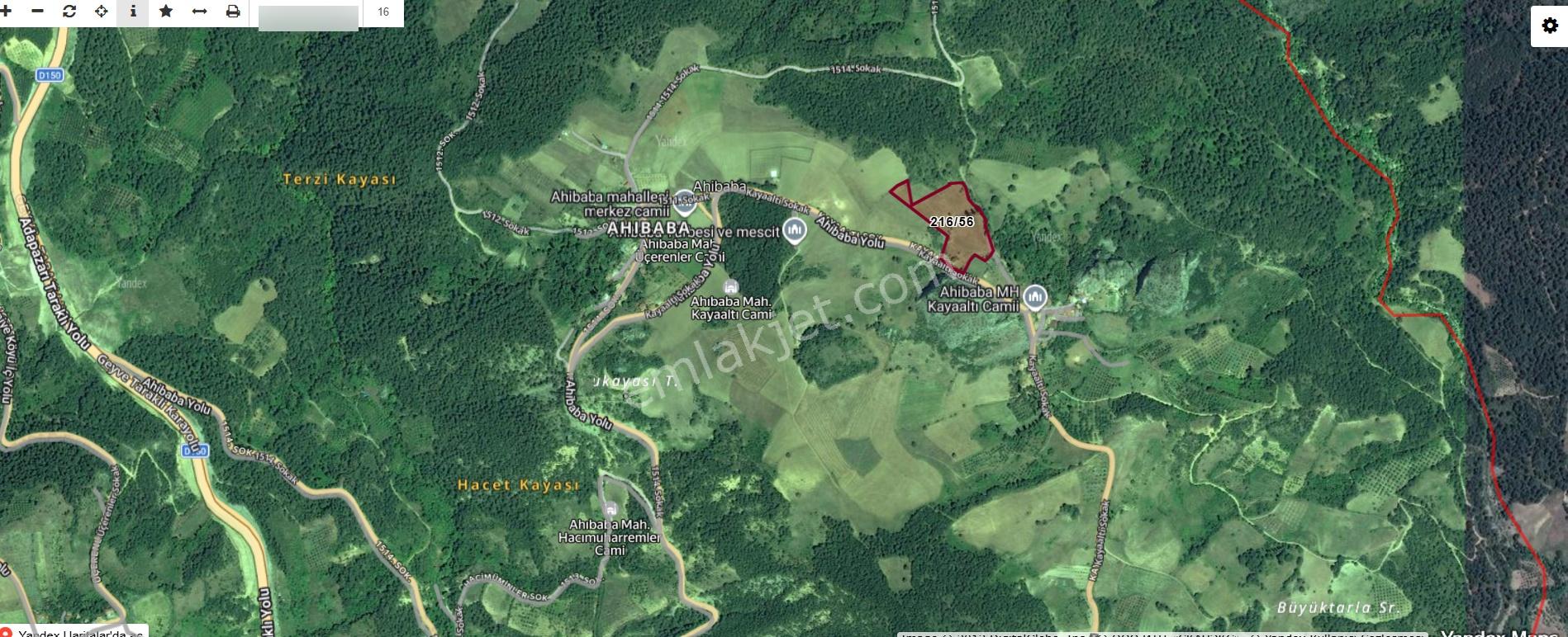 Sakarya Geyve Ahibaba Da Yola Cepheli 12.652 M²yatırımlık Arazi - Görsel 14