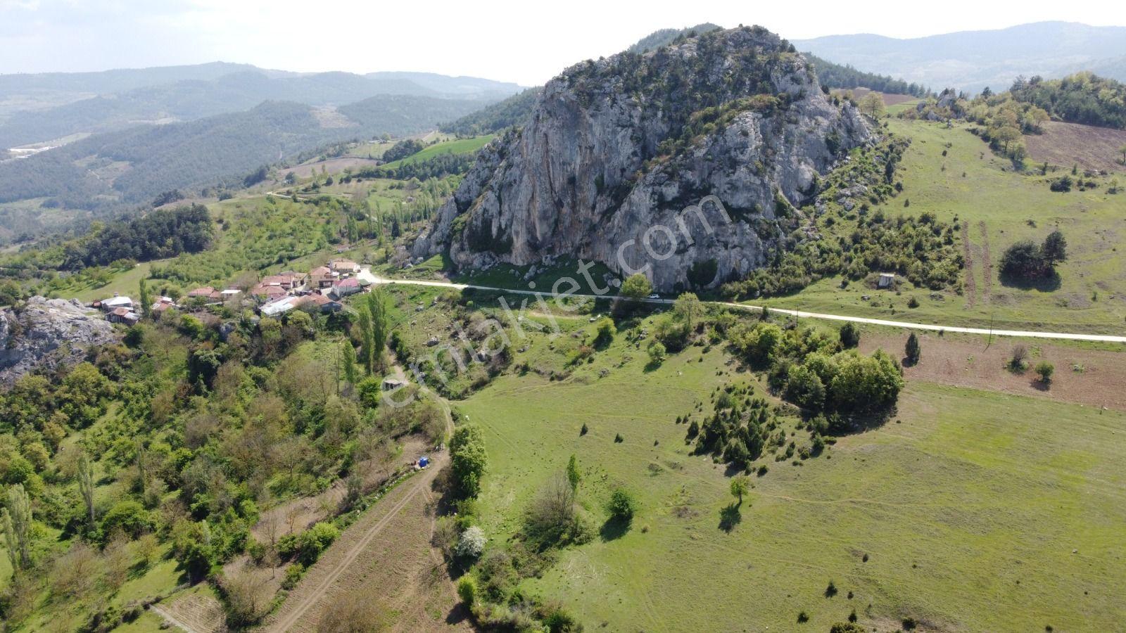 Sakarya Geyve Ahibaba Da Yola Cepheli 12.652 M²yatırımlık Arazi - Görsel 22