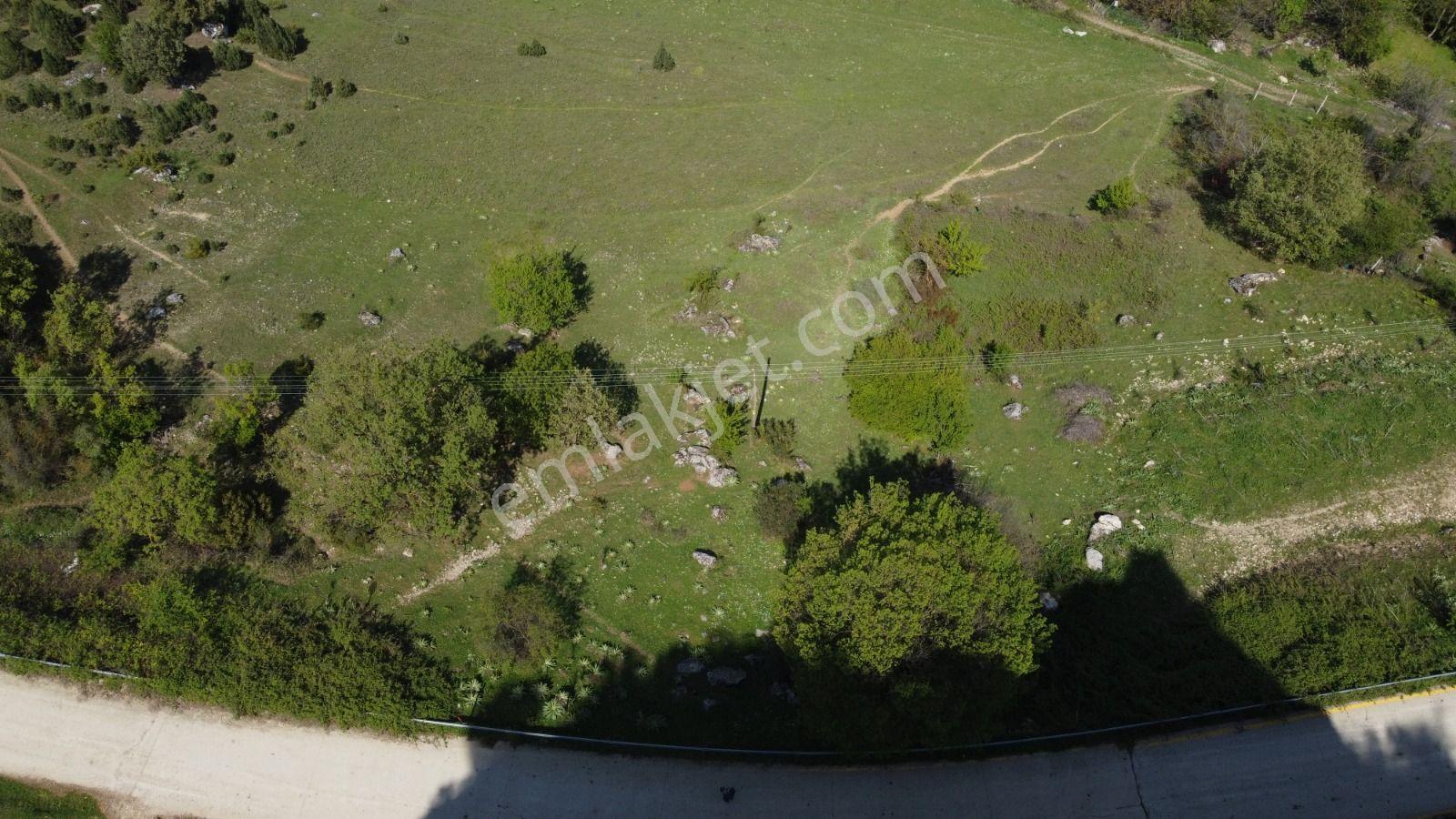 Sakarya Geyve Ahibaba Da Yola Cepheli 12.652 M²yatırımlık Arazi - Görsel 24